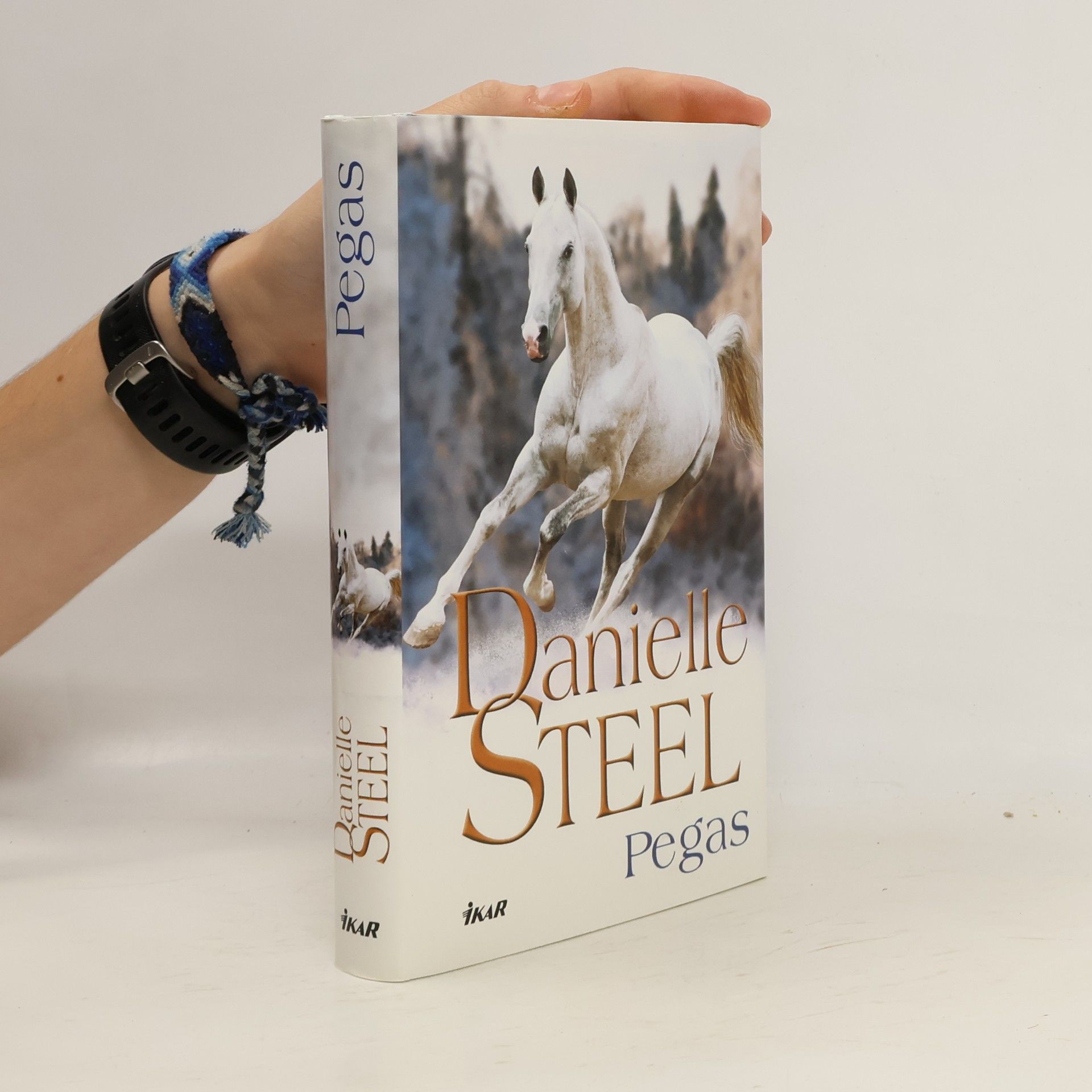 Danielle Steel Pegas
