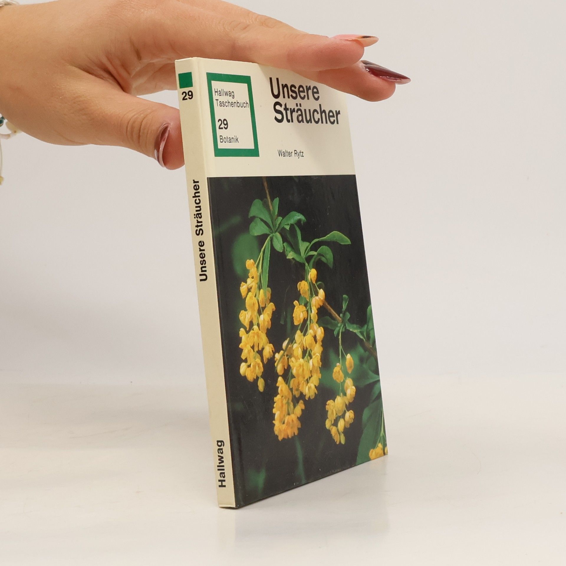 Hallwag Taschenbuch - 29: Unsere Sträucher