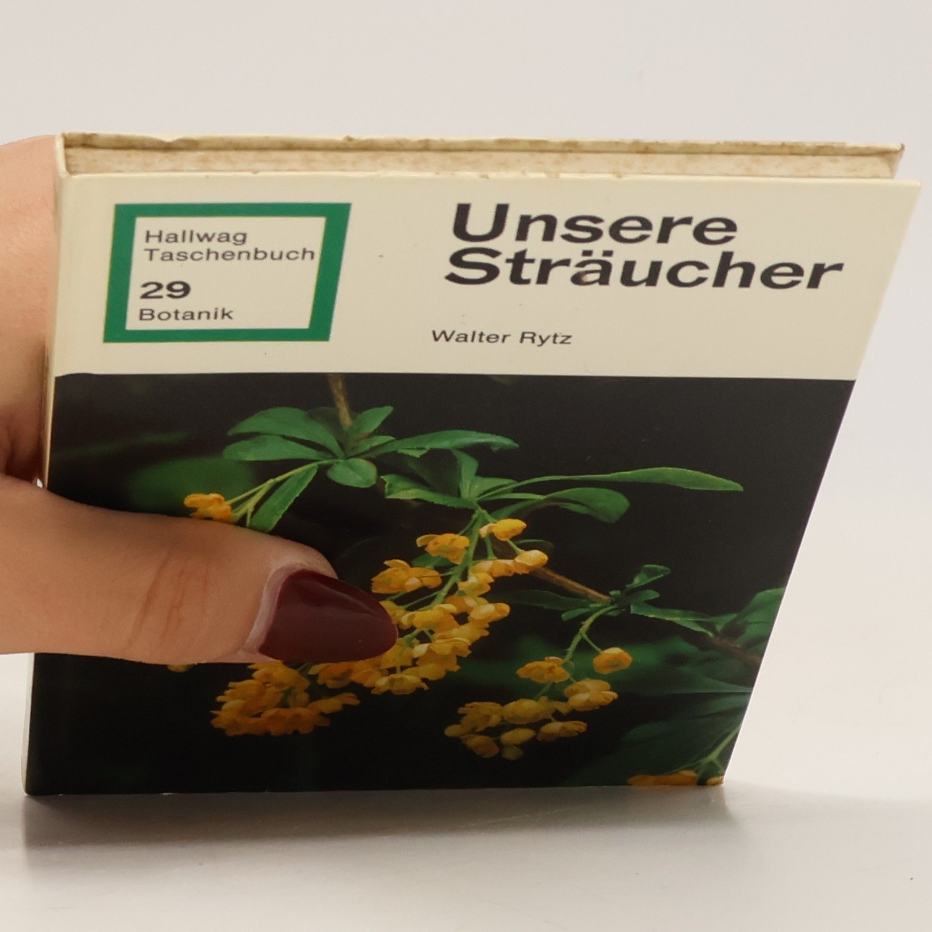 Walter Rytz Hallwag Taschenbuch - 29: Unsere Sträucher