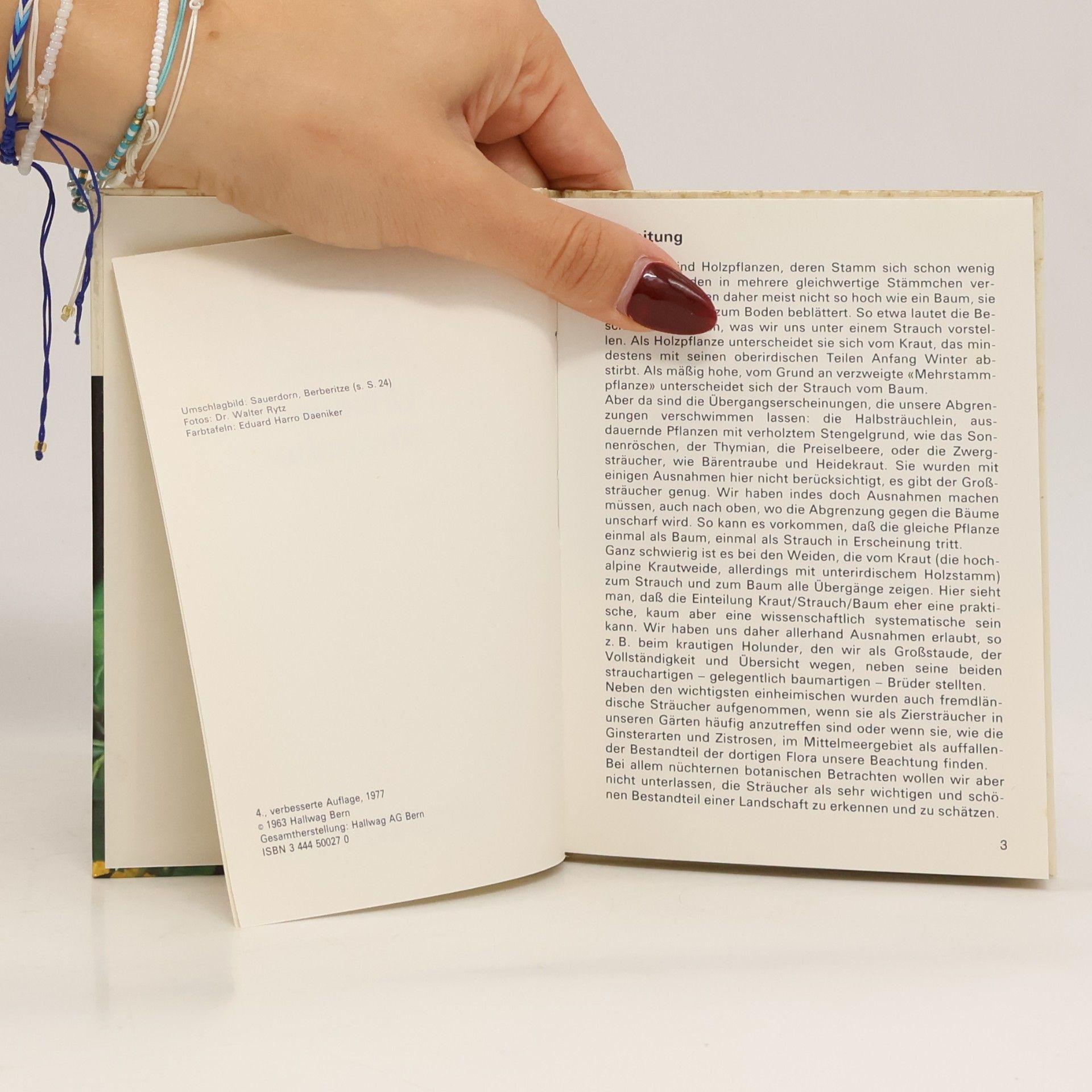 Walter Rytz Hallwag Taschenbuch - 29: Unsere Sträucher