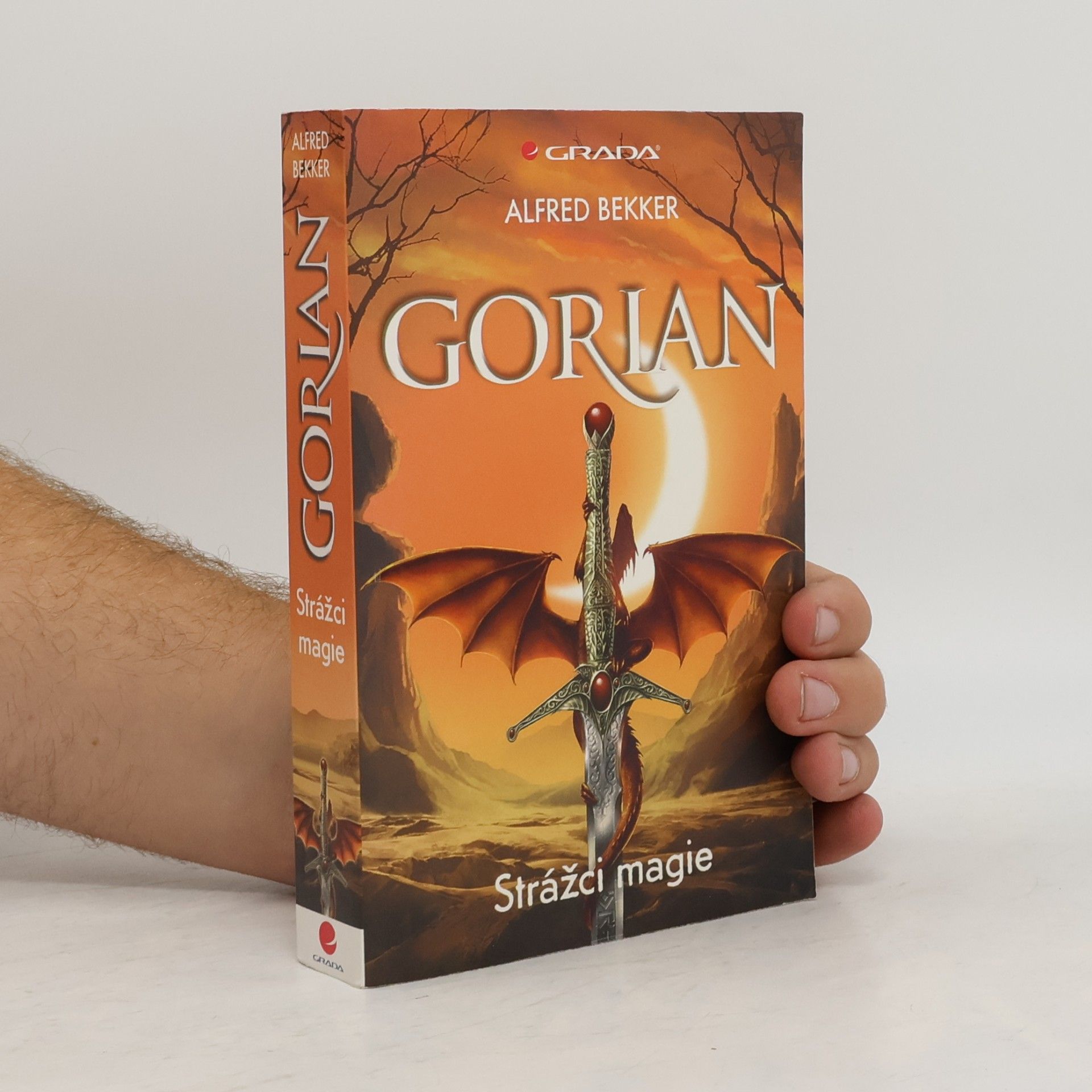 Leslie Garber Gorian. Strážci magie
