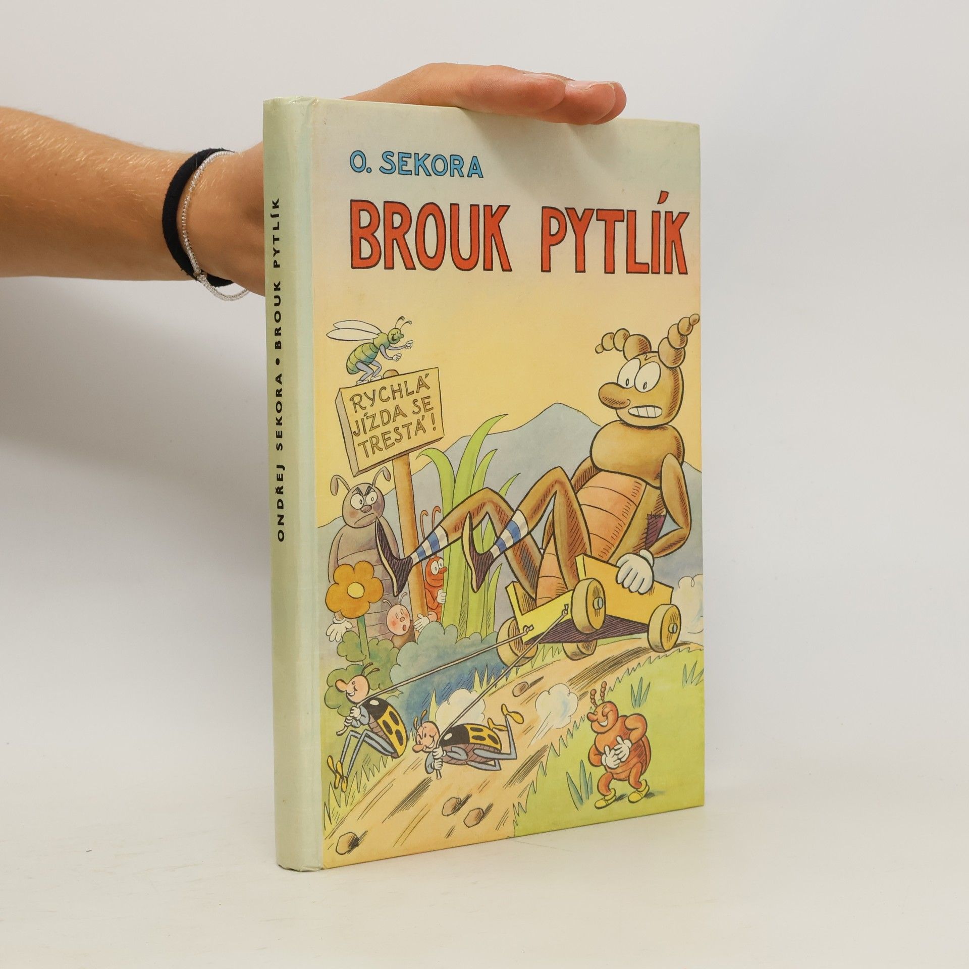 Brouk Pytlík