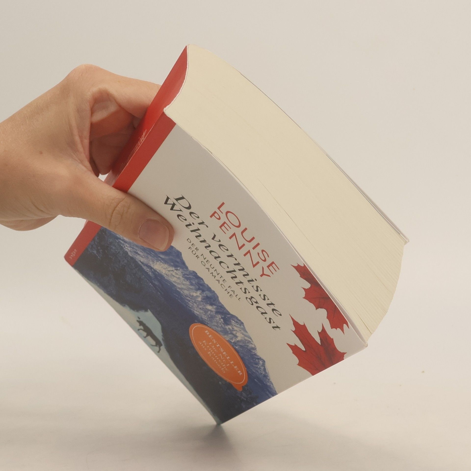 Louise Penny Der vermisste Weihnachtsgast