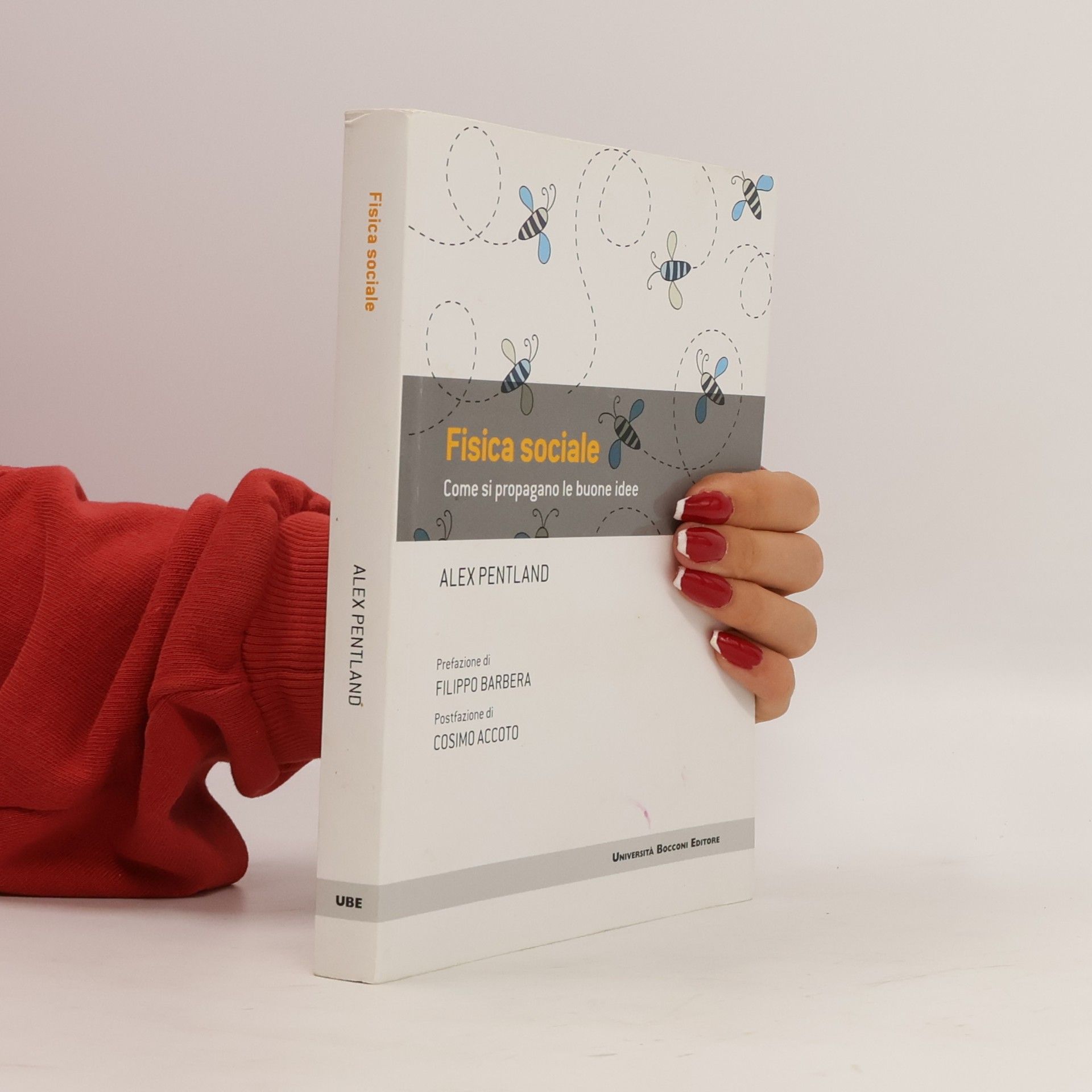 Fisica sociale
