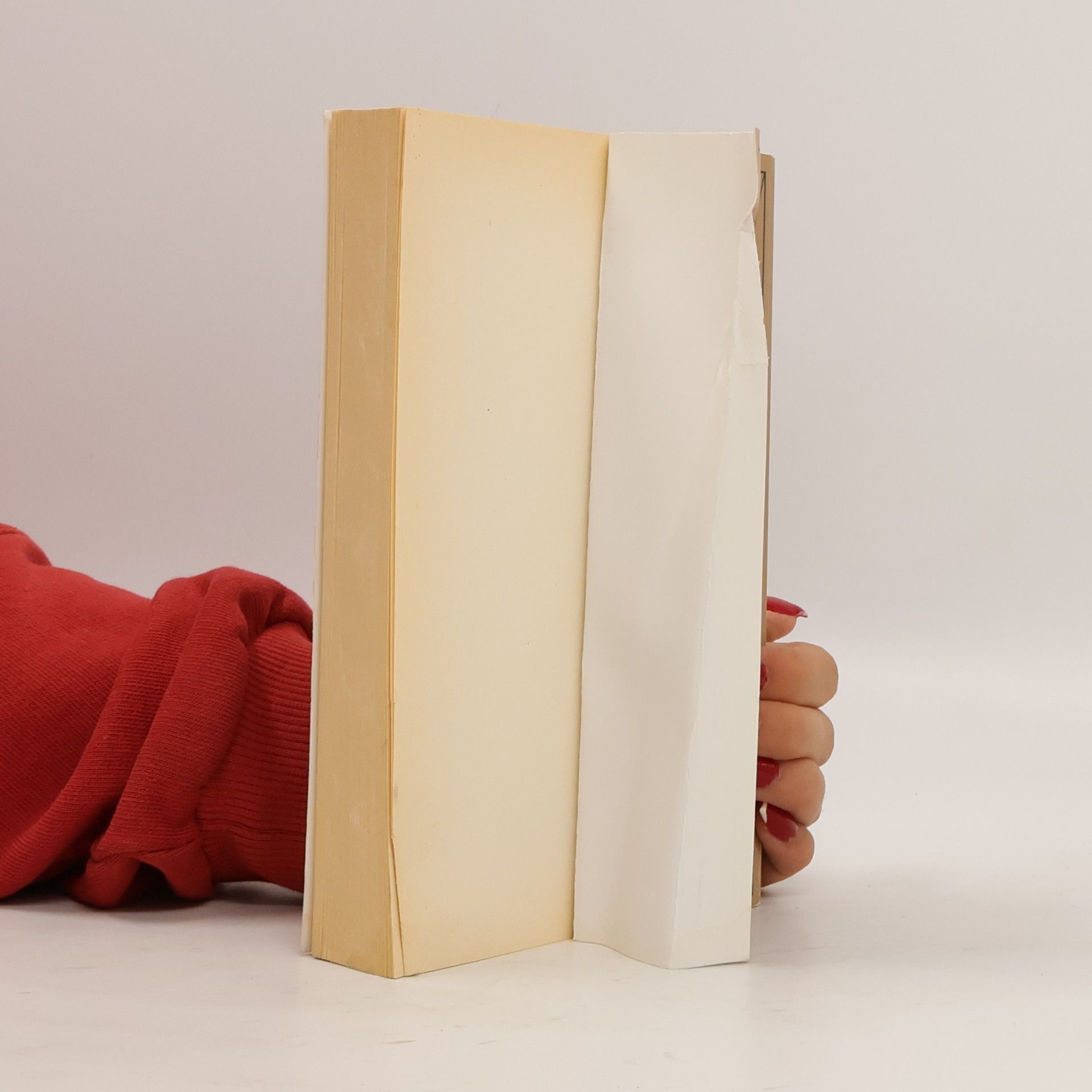 Milan Kundera L'immortalità
