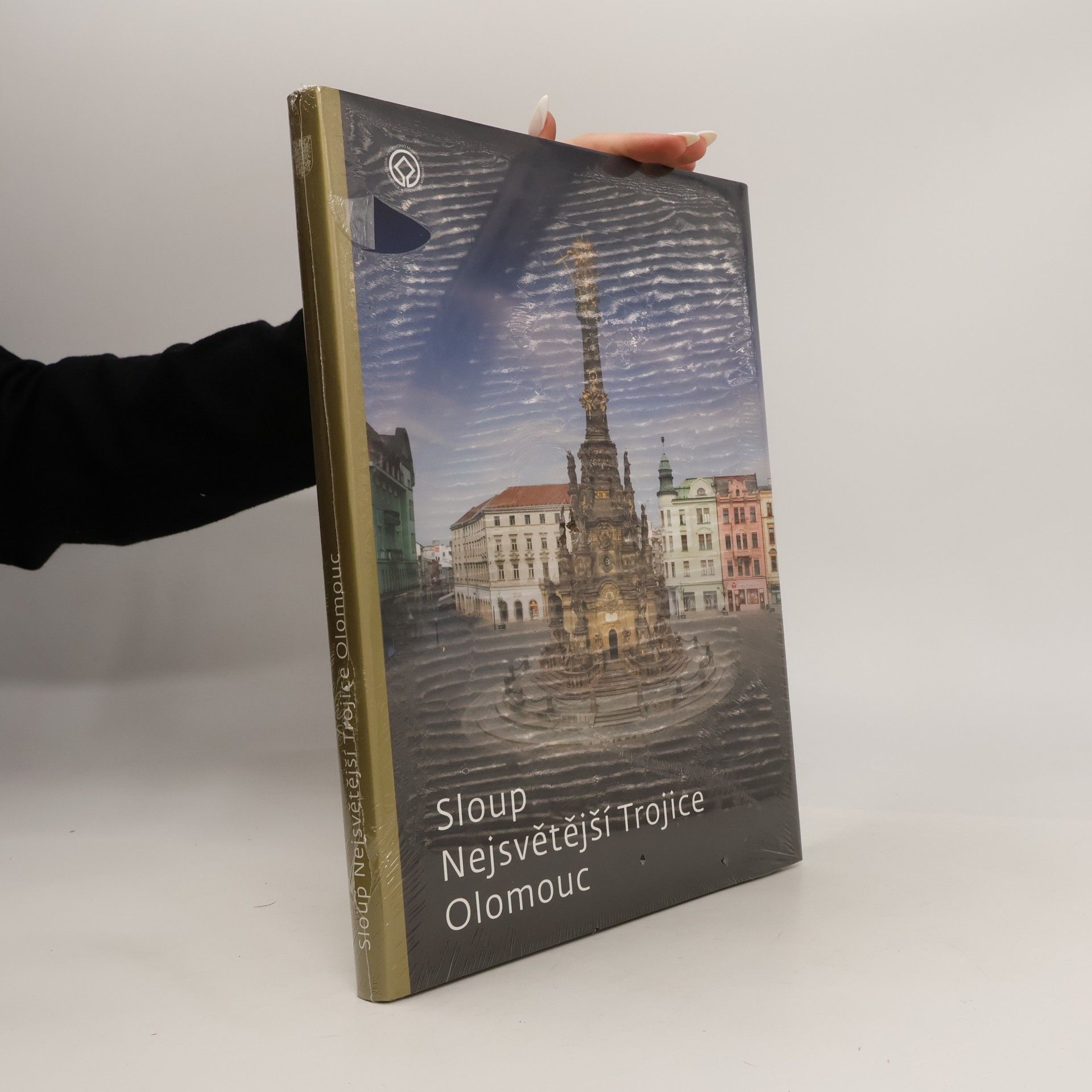 kolektiv Sloup Nejsvětější Trojice Olomouc