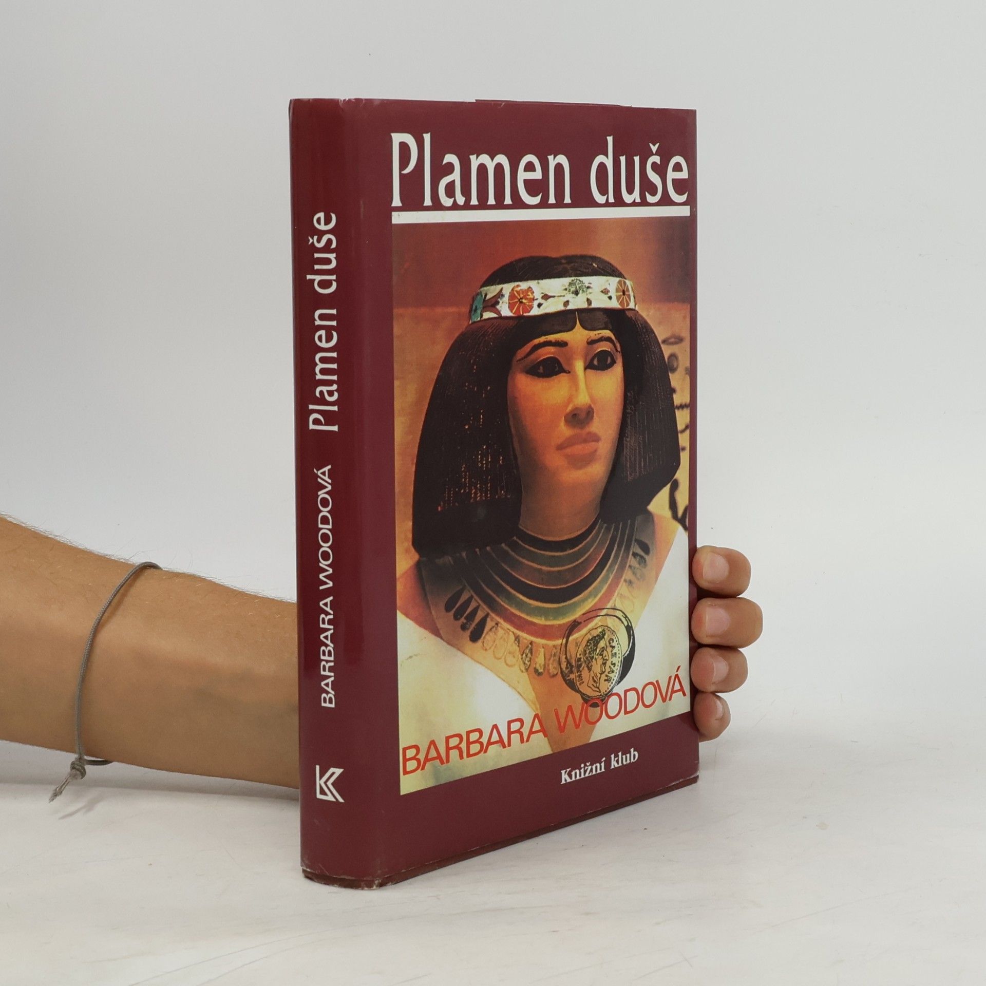 Barbara Wood Plamen duše