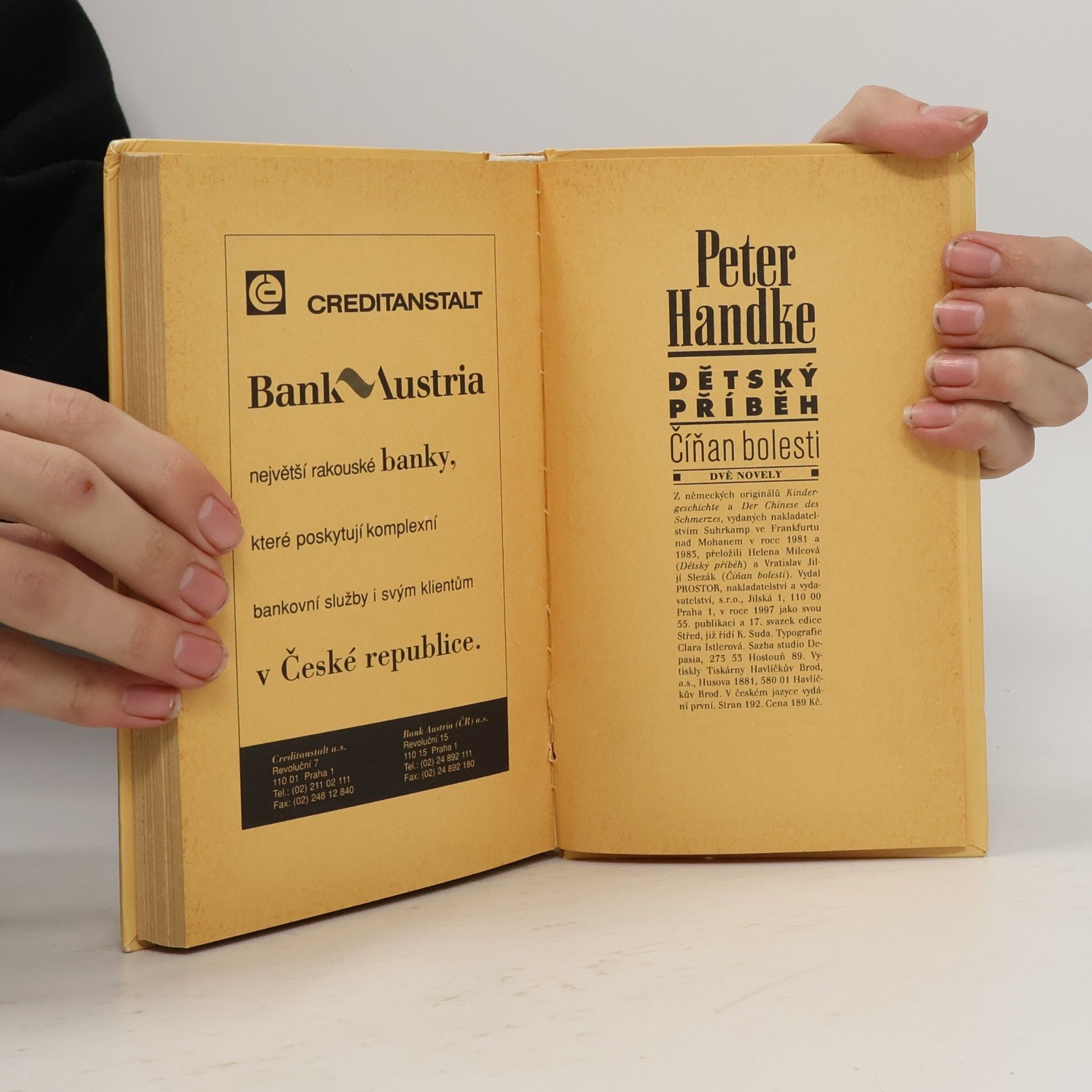 Peter Handke Dětský příběh. Číňan bolesti