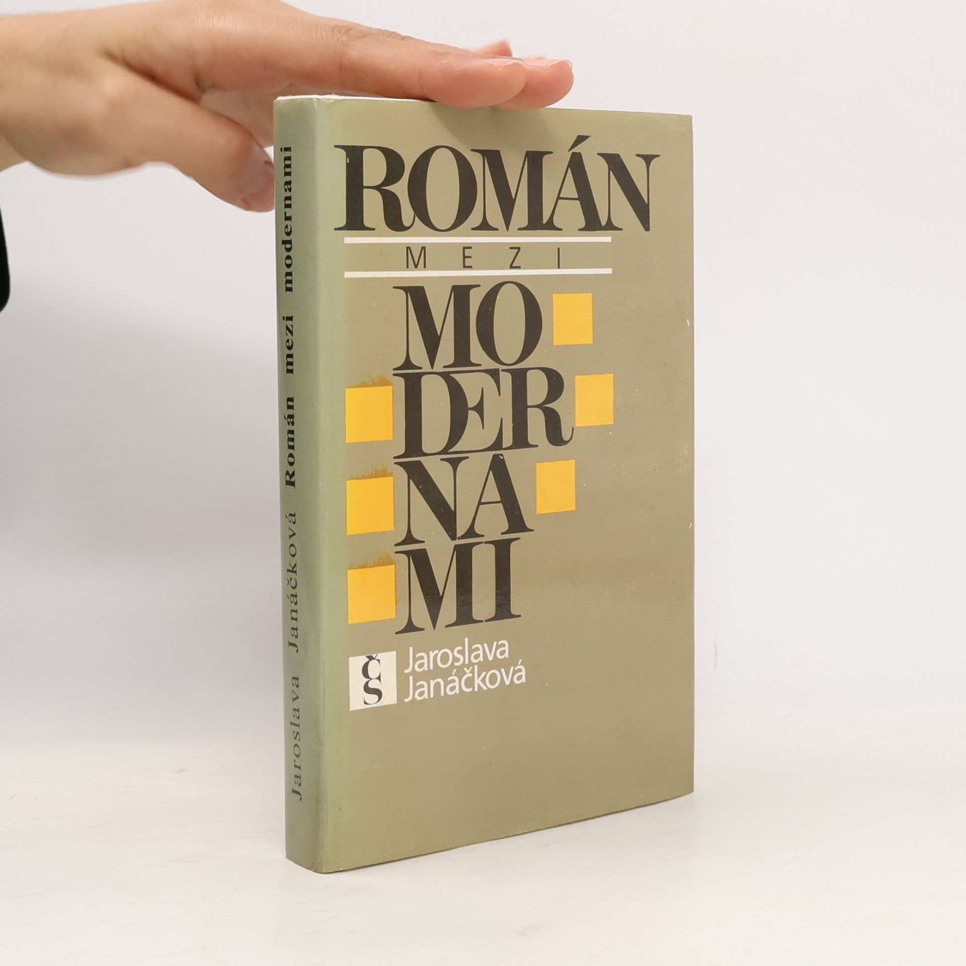 Román mezi modernami : studie z historické poetiky