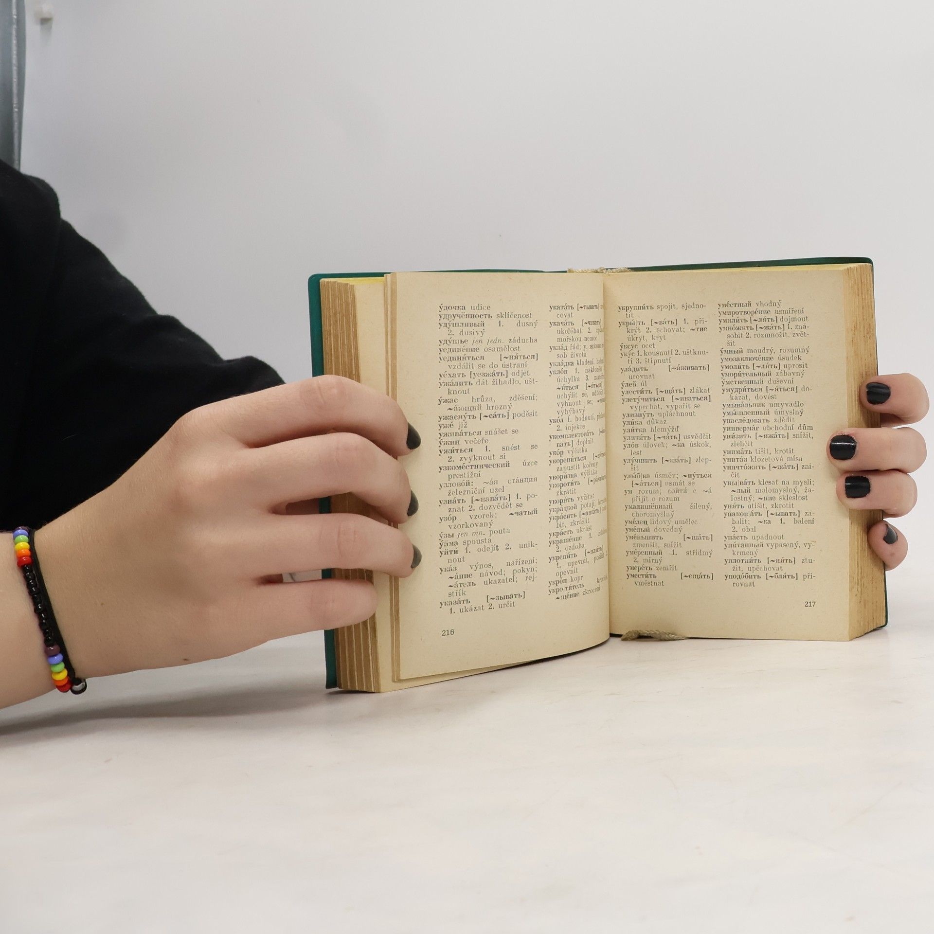Kolektiv autorů Kapesní rusko-český a česko-ruský slovník