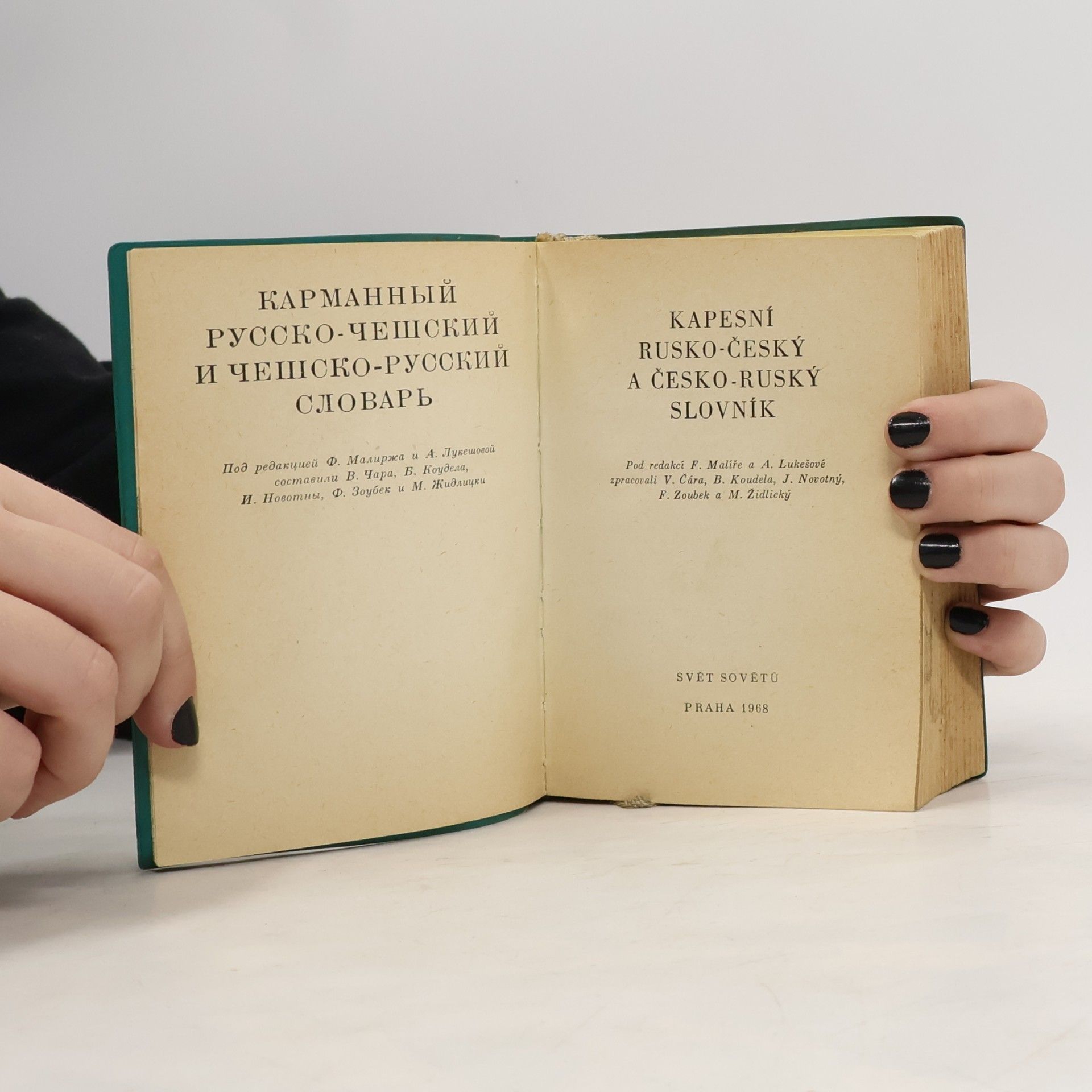 Kolektiv autorů Kapesní rusko-český a česko-ruský slovník