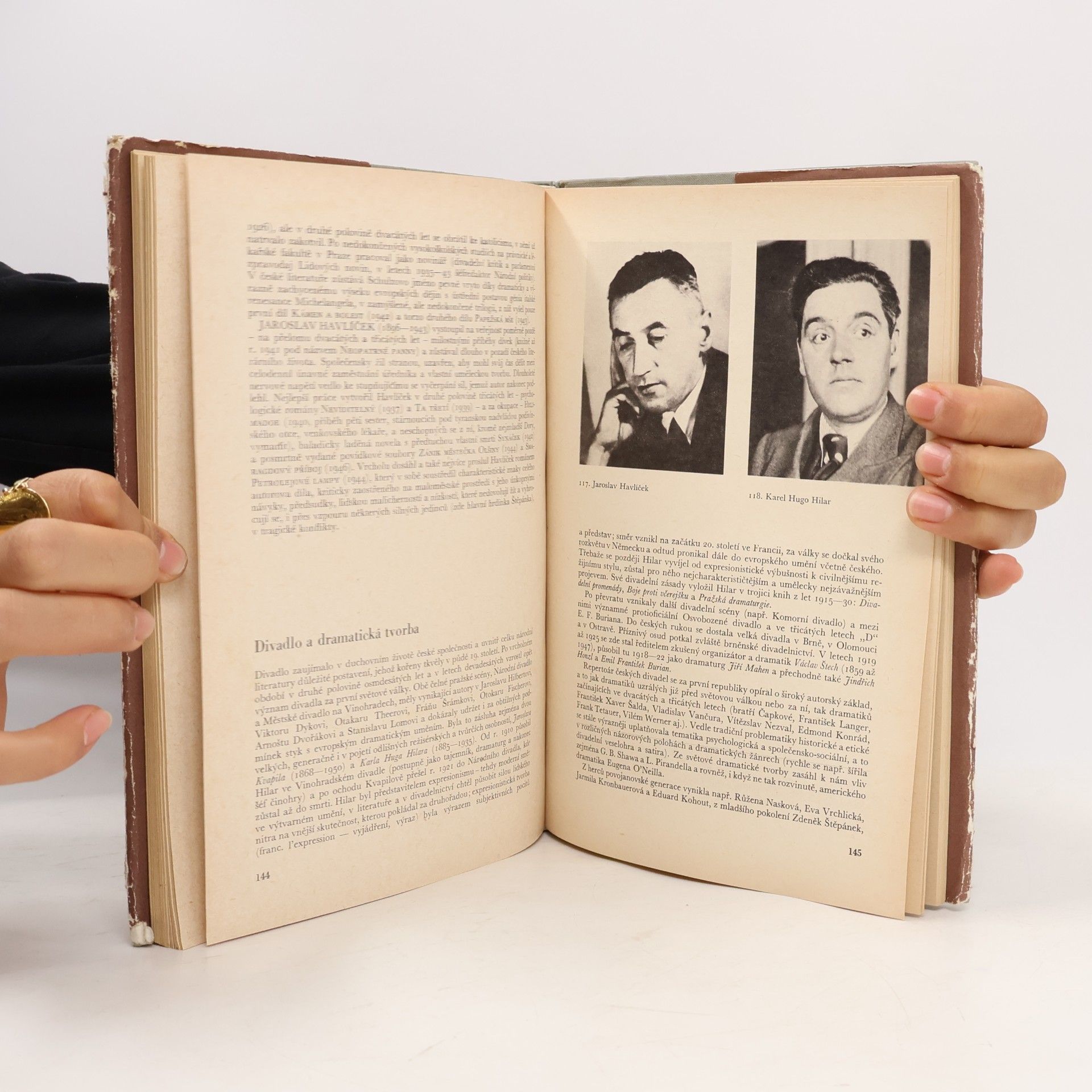 Zdeněk Blajer Přehledné dějiny literatury