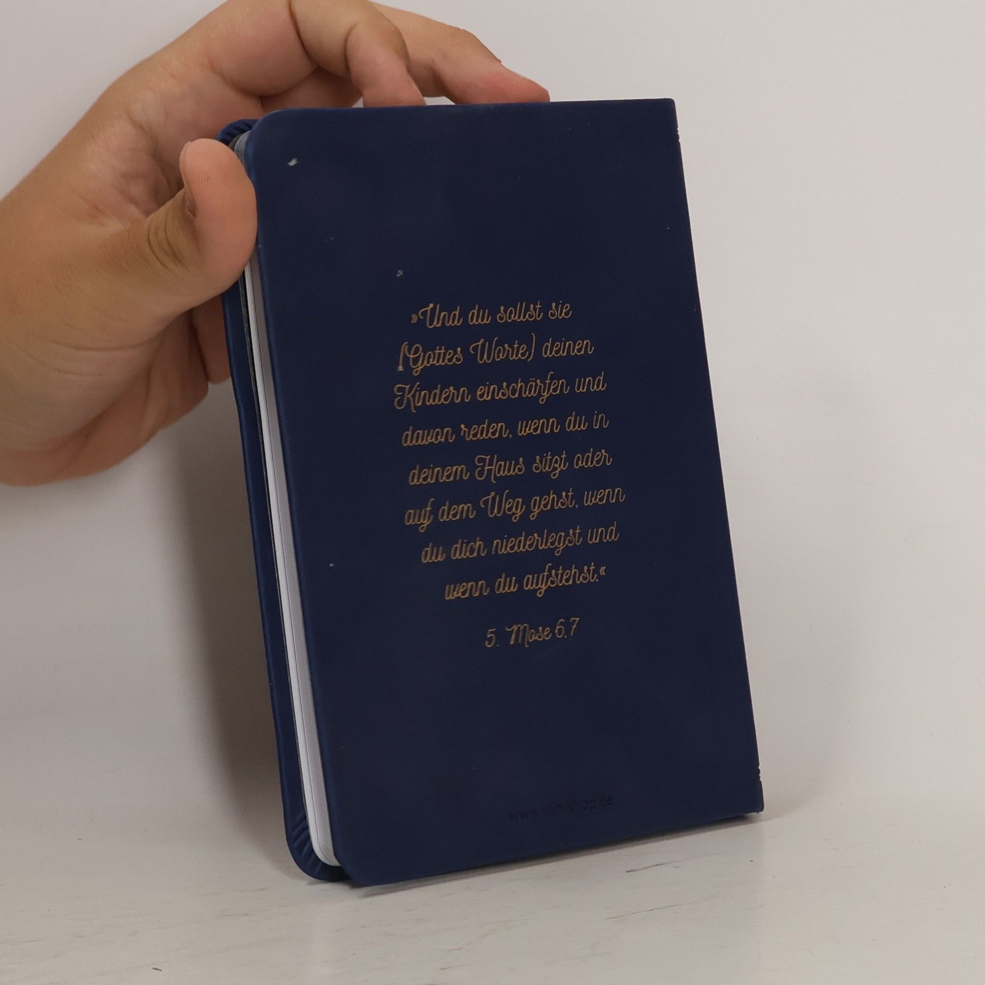 Matthew Henry Eine Familie mit Gott im Zentrum