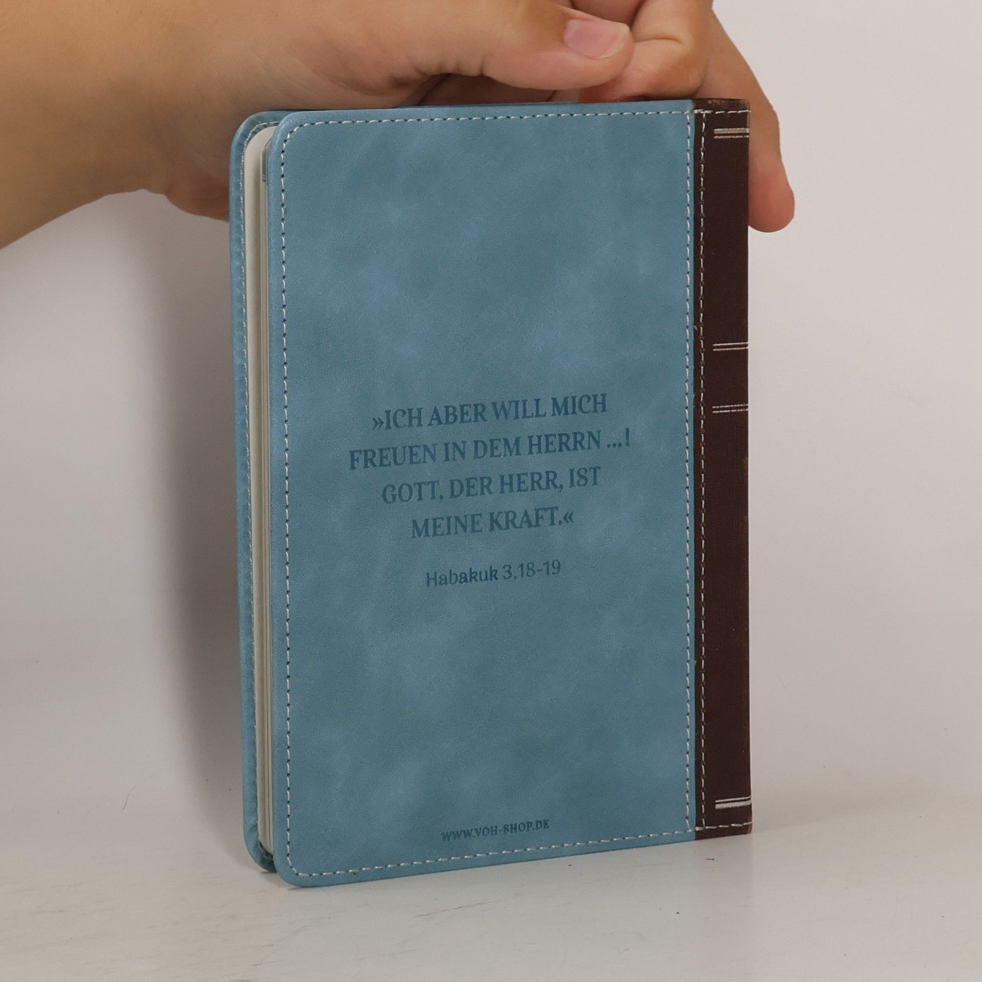 Henry Martyn Lloyd Und Gott greift doch ein