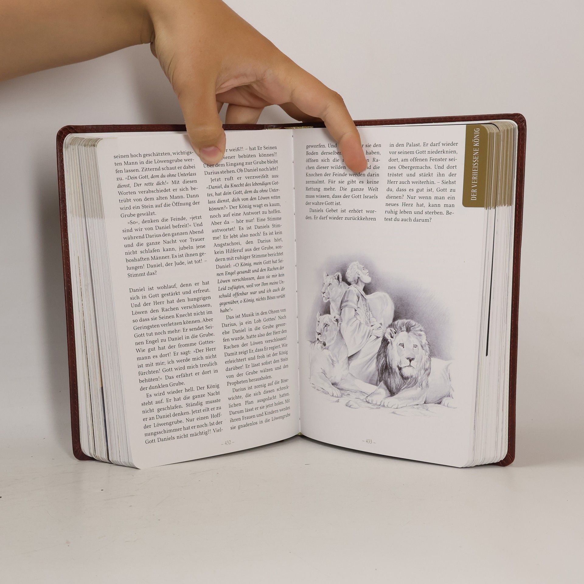 Adriaan Jansen Andachten für die ganze Familie: Biblische Geschichten