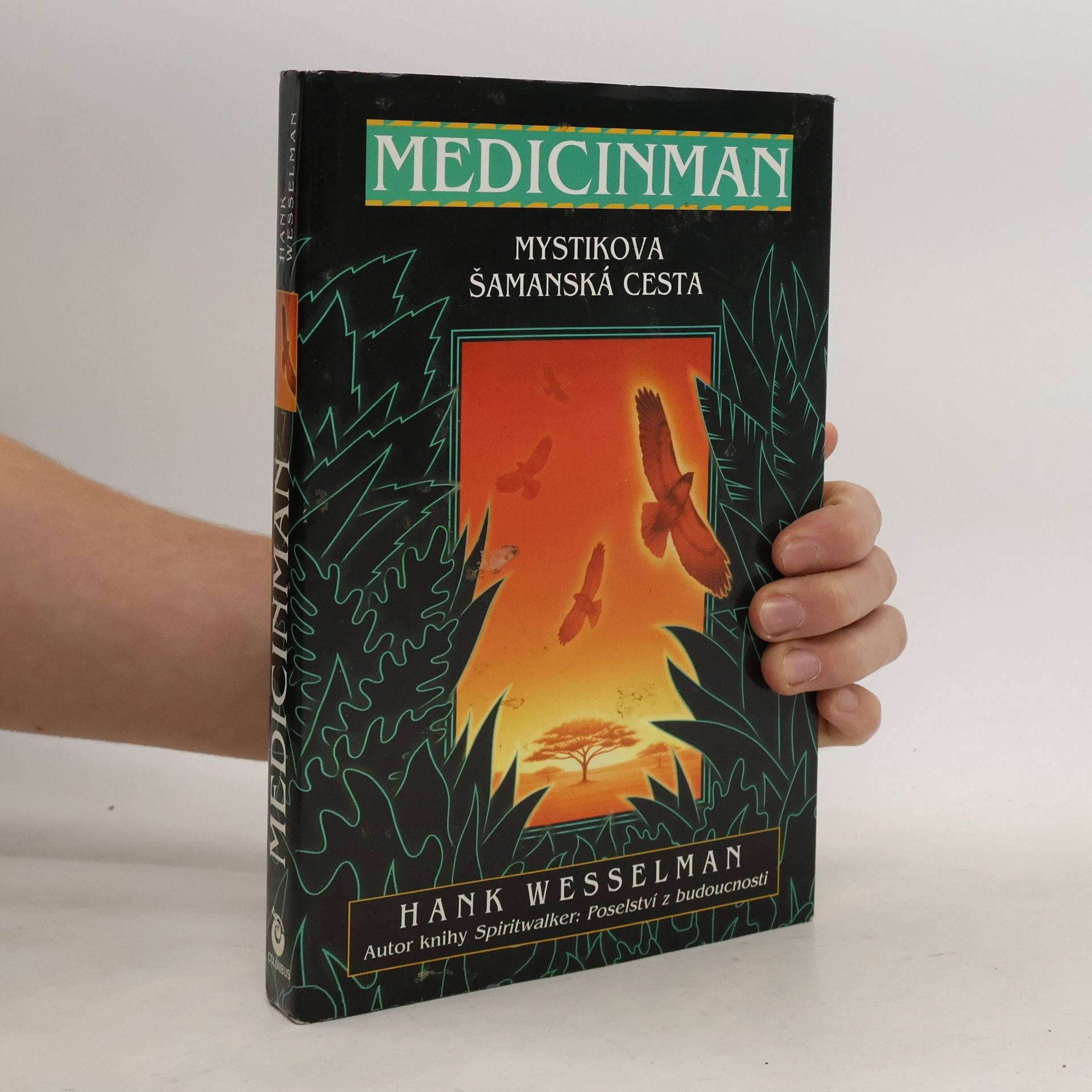 Medicinman. Mystik se vydává na šamanskou cestu