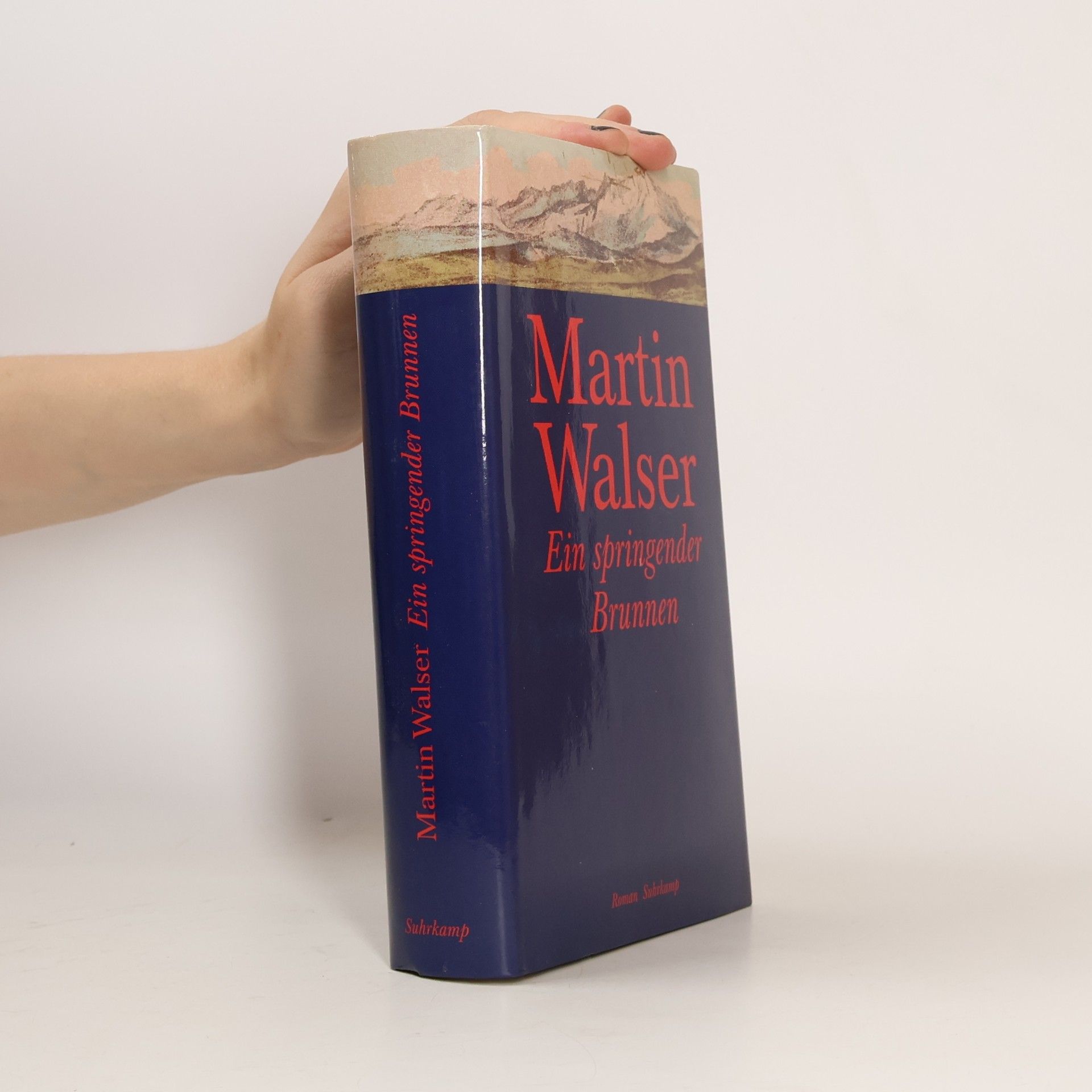Martin Walser Ein springender Brunnen