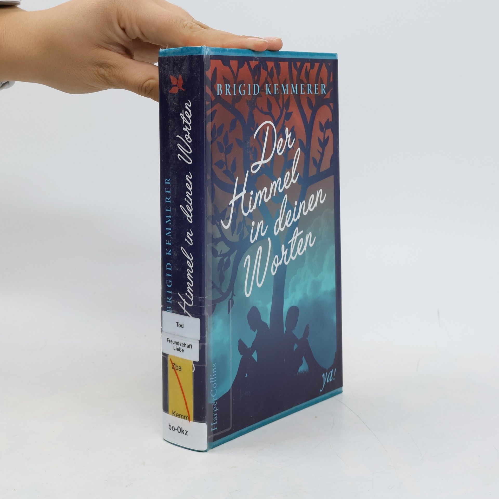 Brigid Kemmerer Der Himmel in deinen Worten