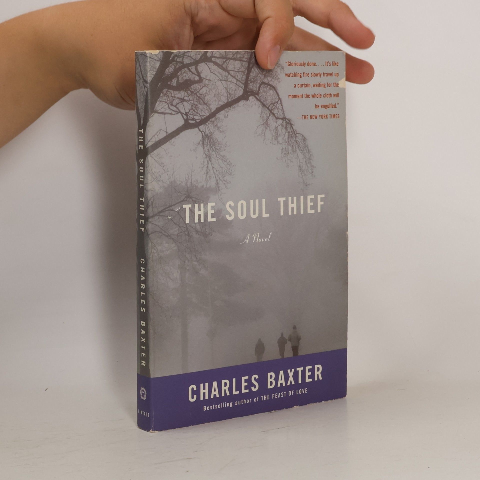 Charles Baxter The Soul Thief