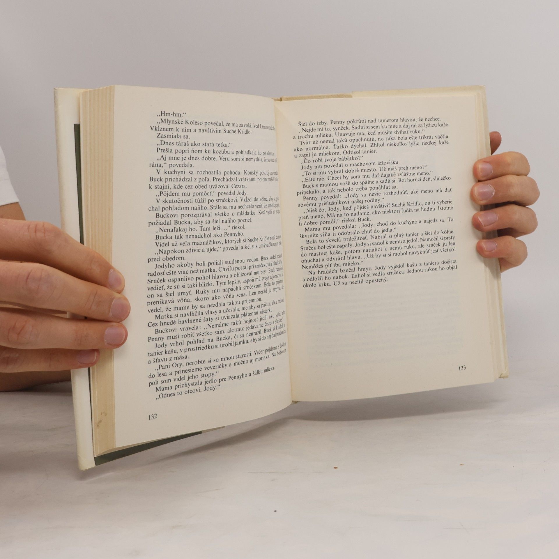 Marjorie Kinnan Rawlings Dieťa divočiny
