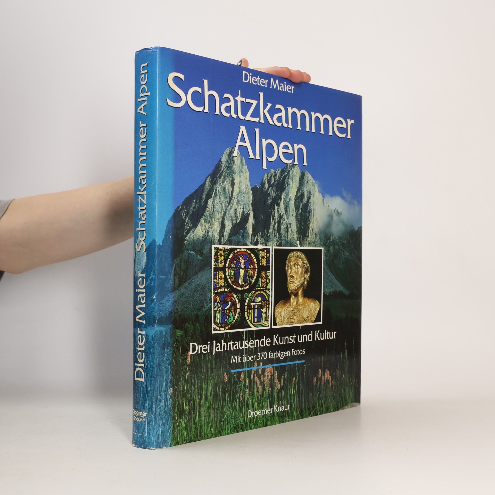 Dieter Maier Schatzkammer Alpen