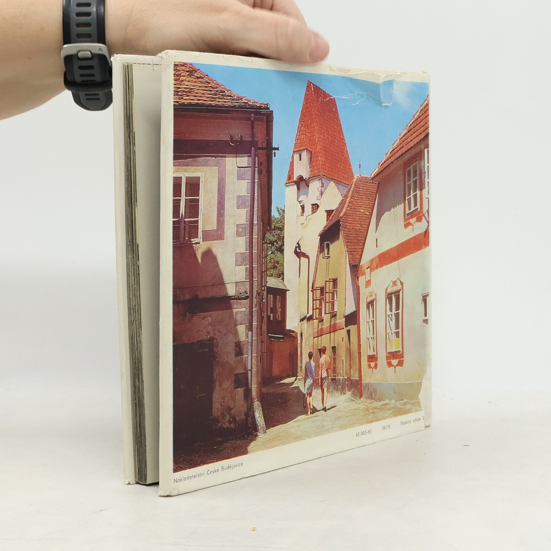 František Dvořák České Budějovice zblízka
