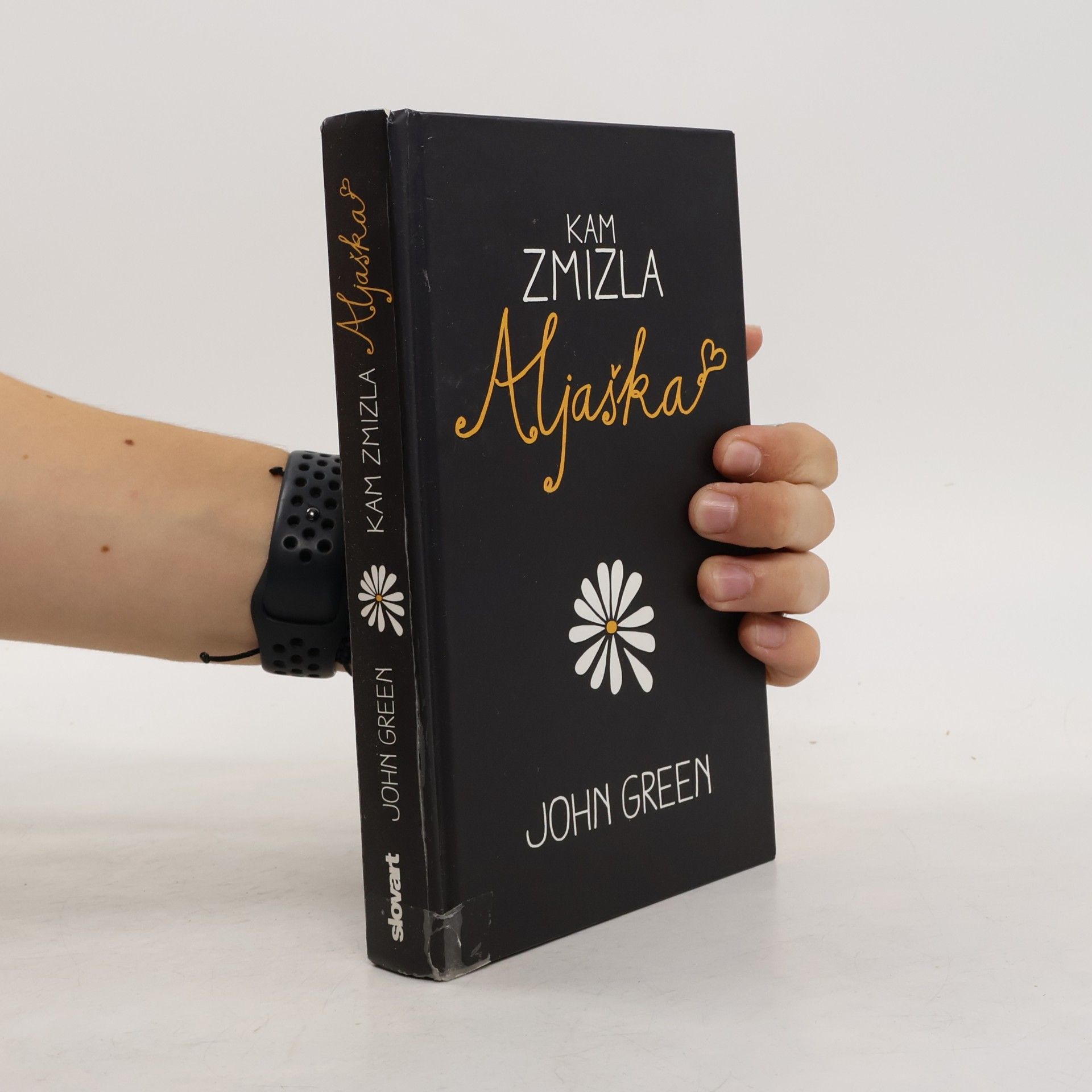 John Green Kam zmizla Aljaška