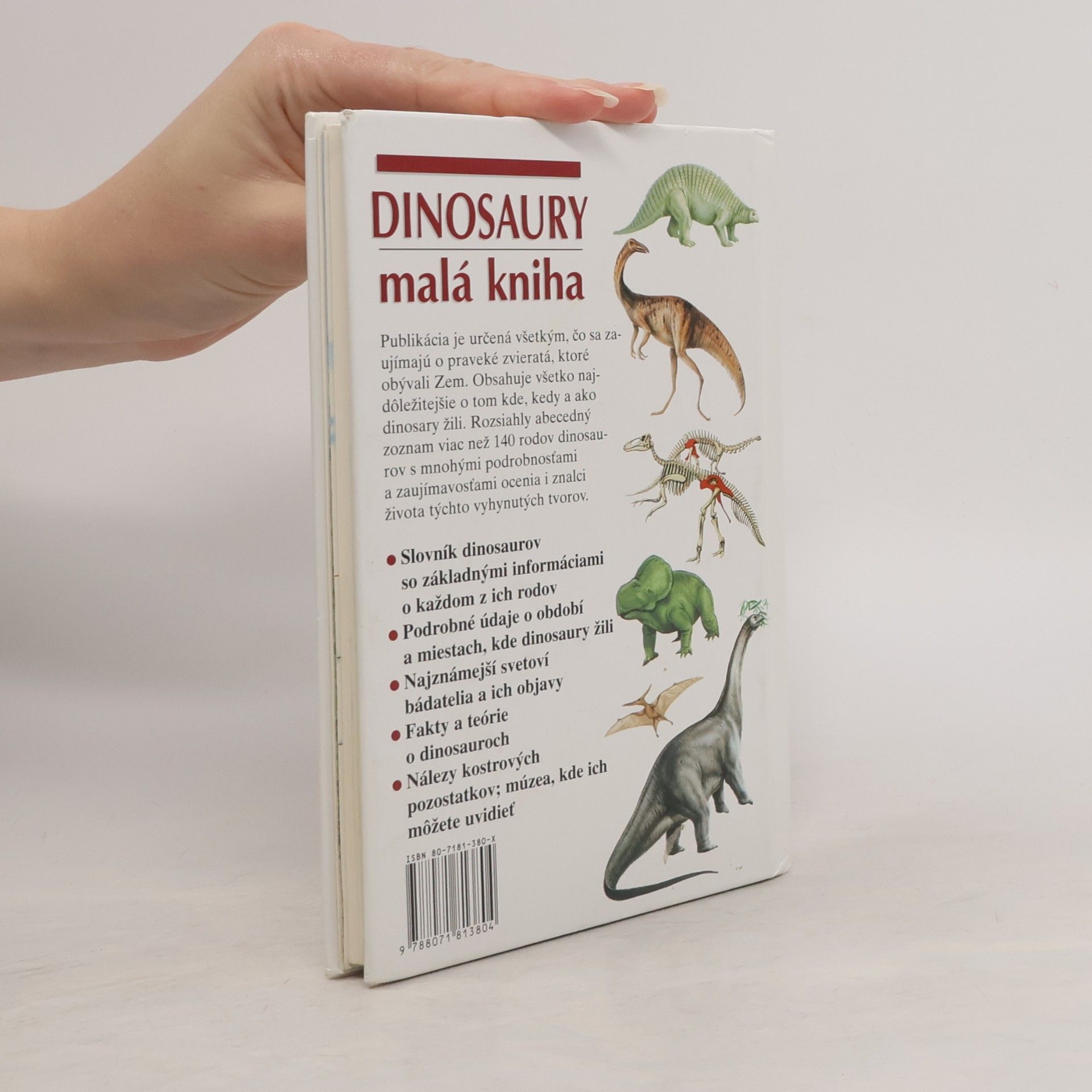 Michael J. Benton Dinosaury - malá kniha