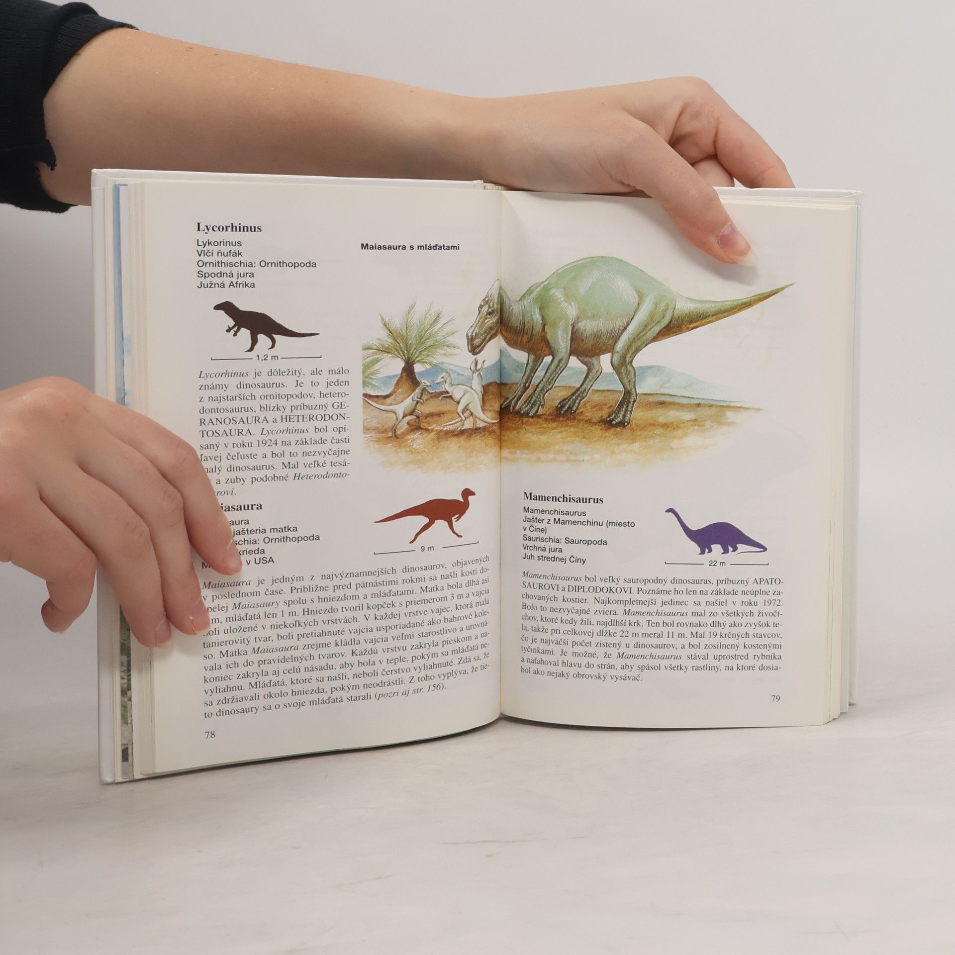 Michael J. Benton Dinosaury - malá kniha