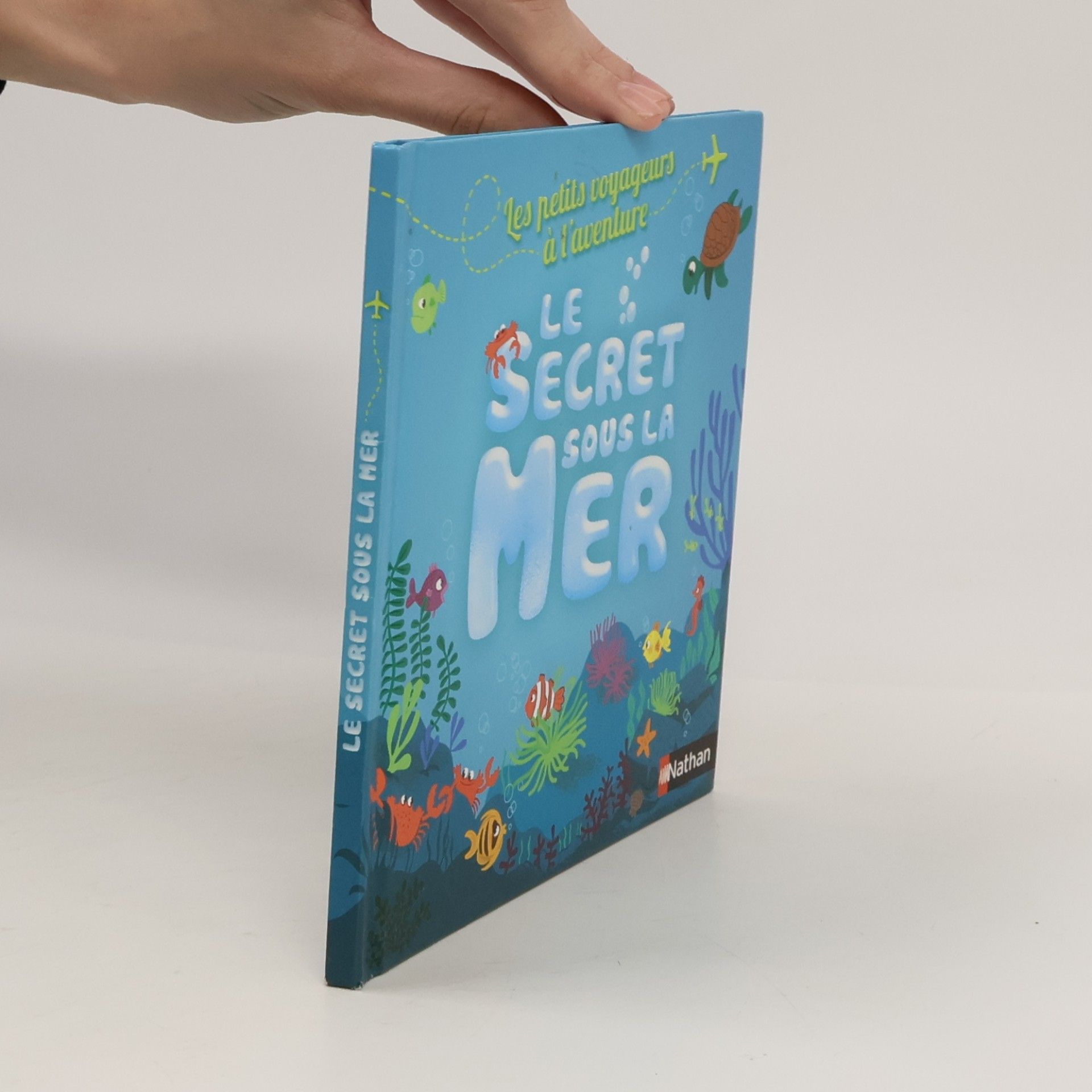Agnès de Lestrade Le secret sous la mer