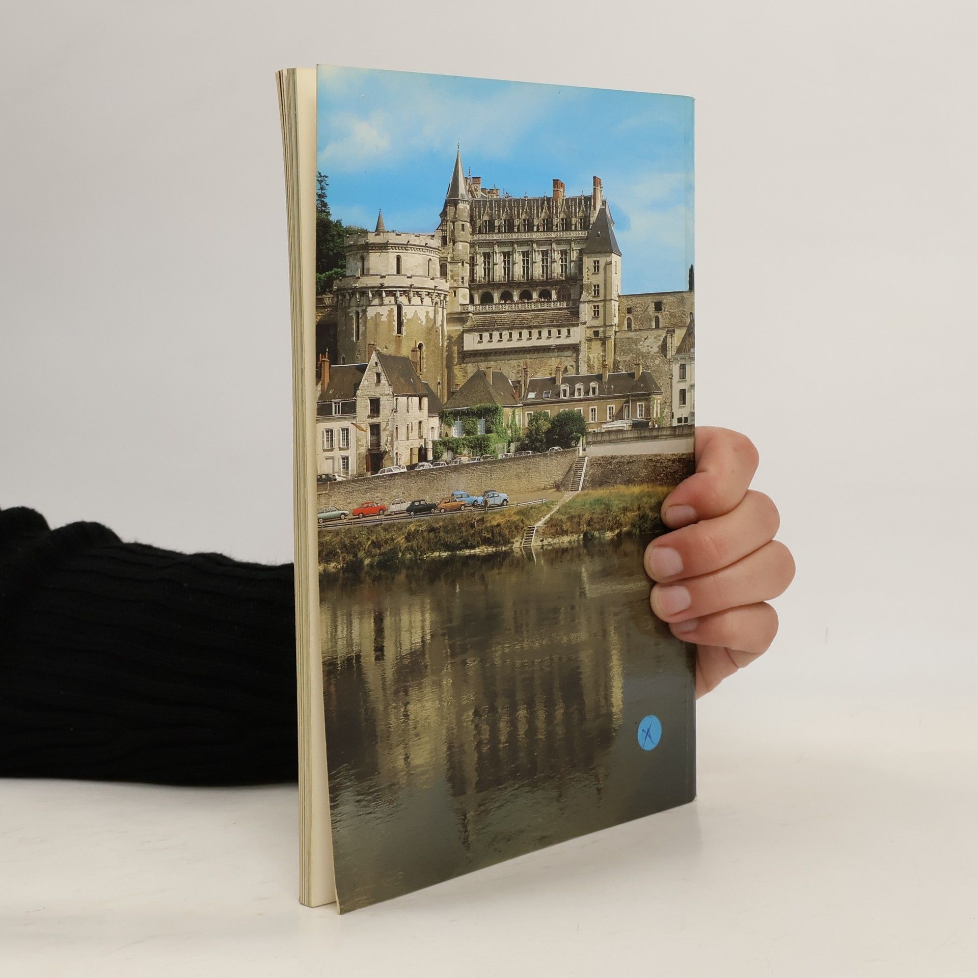 Armel de Wismes Schlösser der Loire