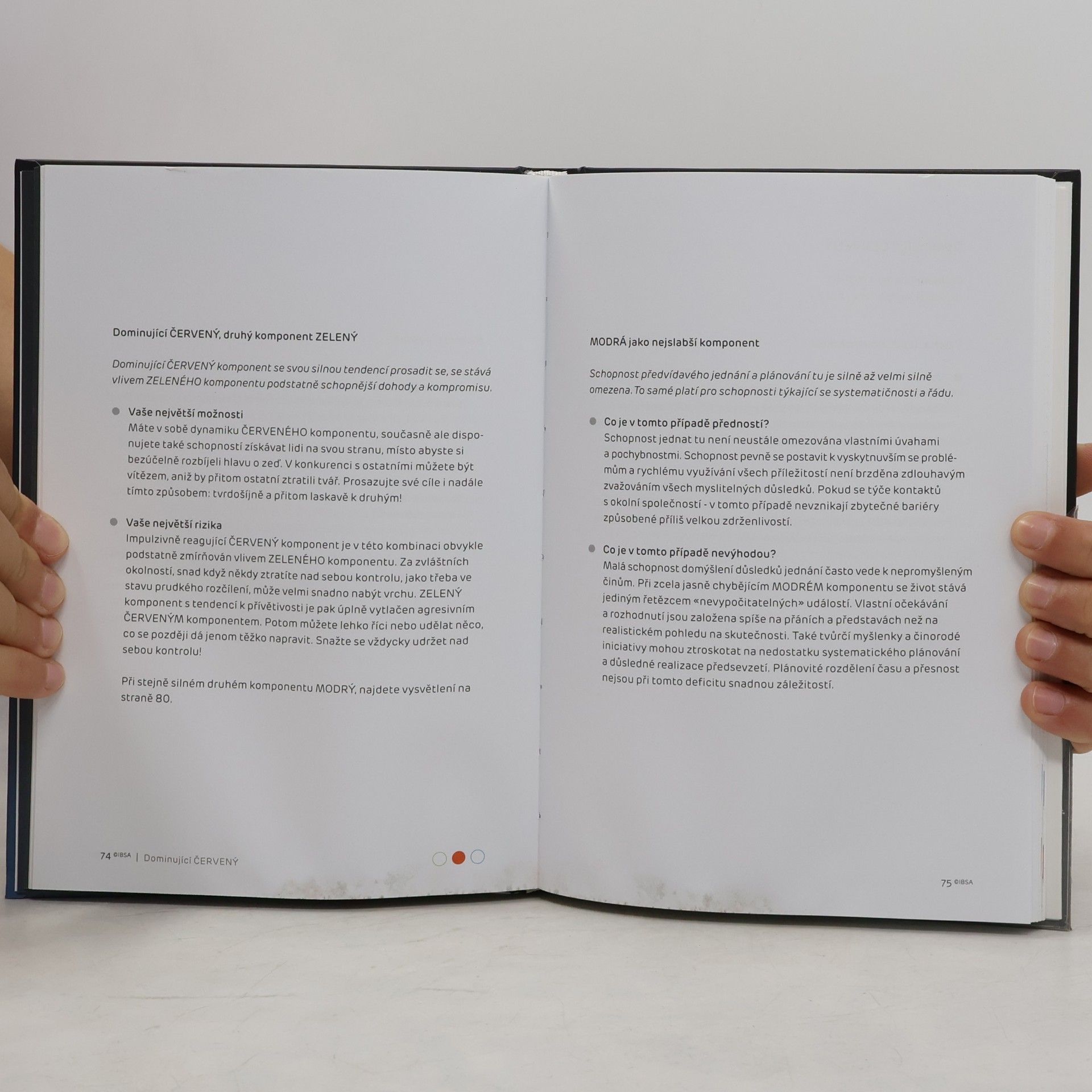 Rolf W. Schirm Klíč k sebepoznání - STRUCTUROGRAM Tréninkový systém