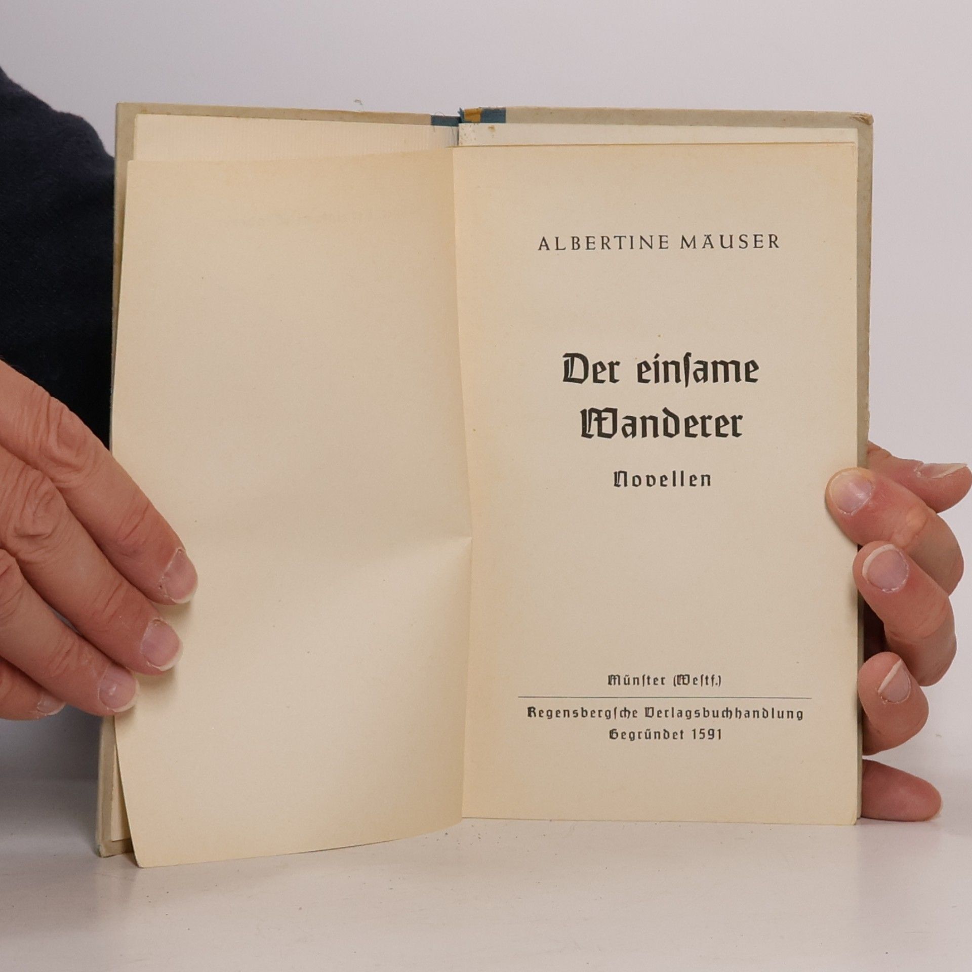Albertine Mäuser Der einsame Wanderer