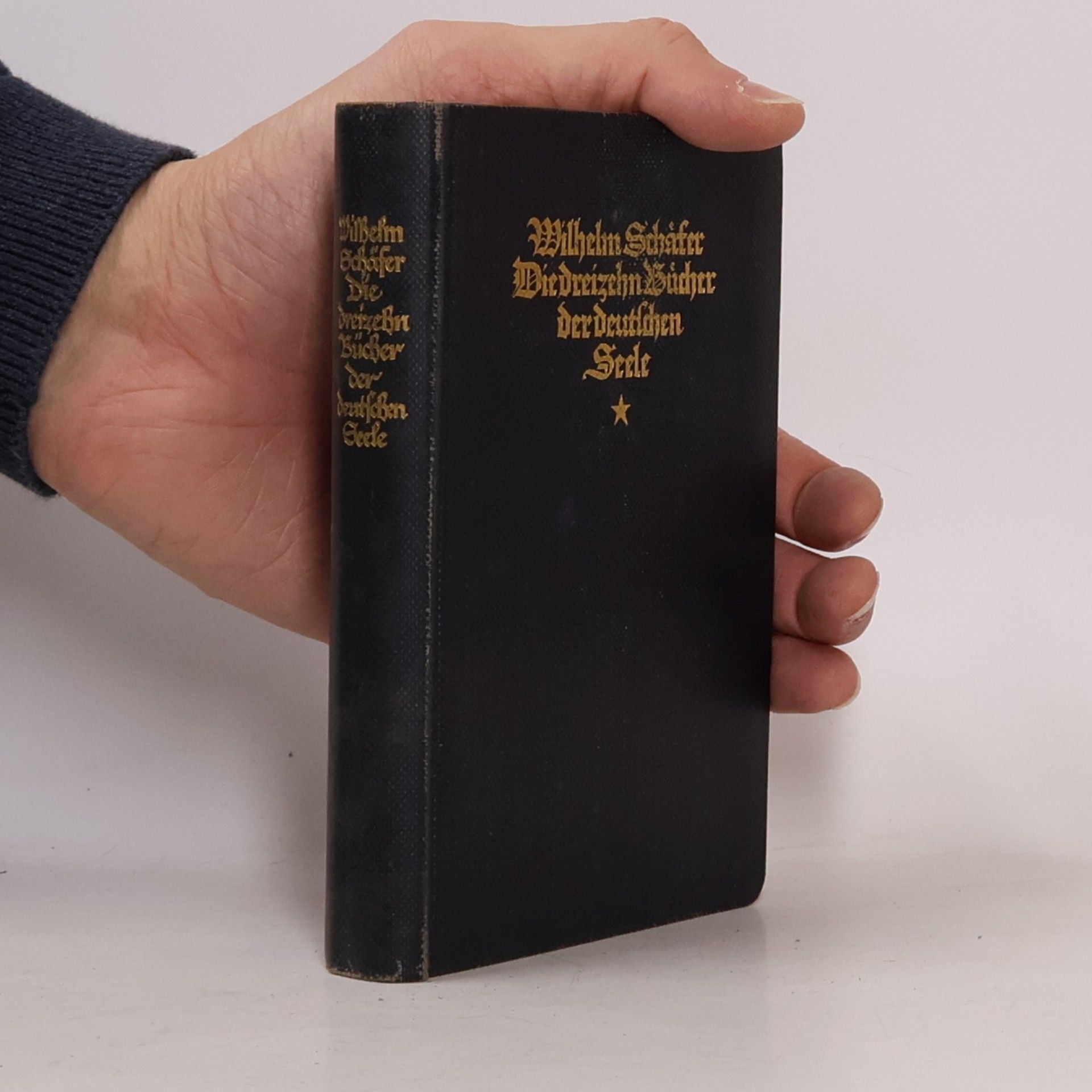 Wilhelm Schäfer Die dreizehn Bücher der deutschen Seele