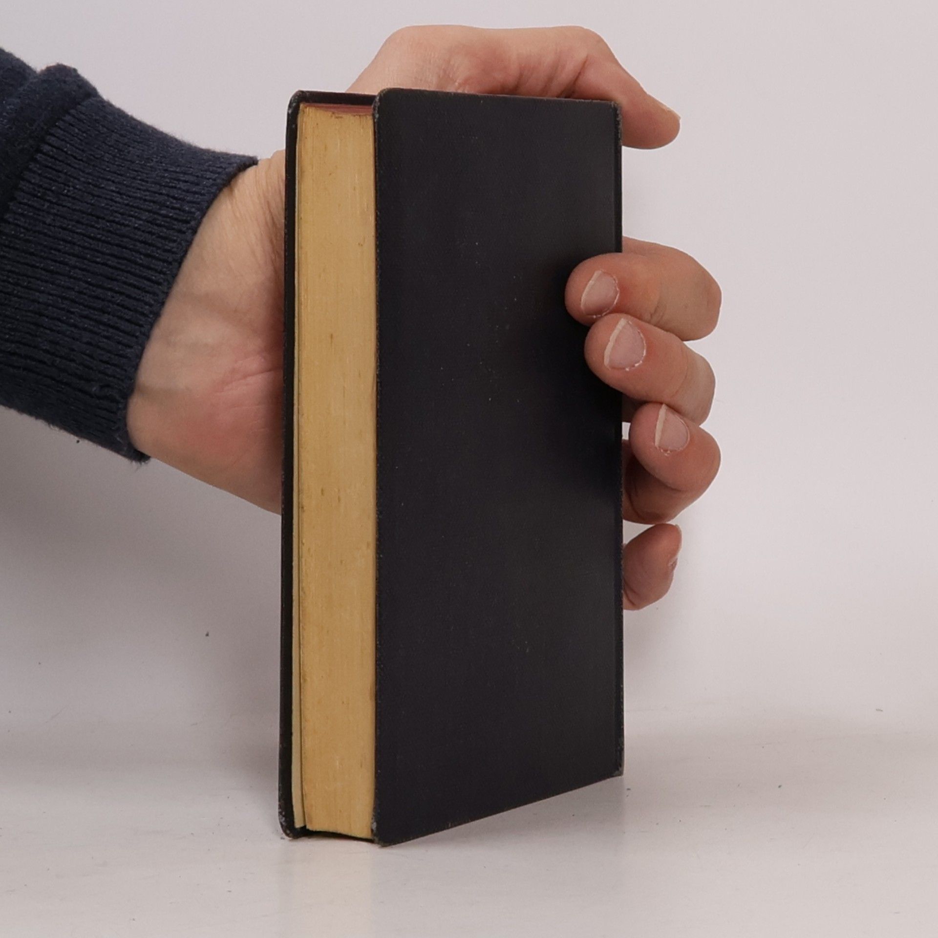 Wilhelm Schäfer Die dreizehn Bücher der deutschen Seele