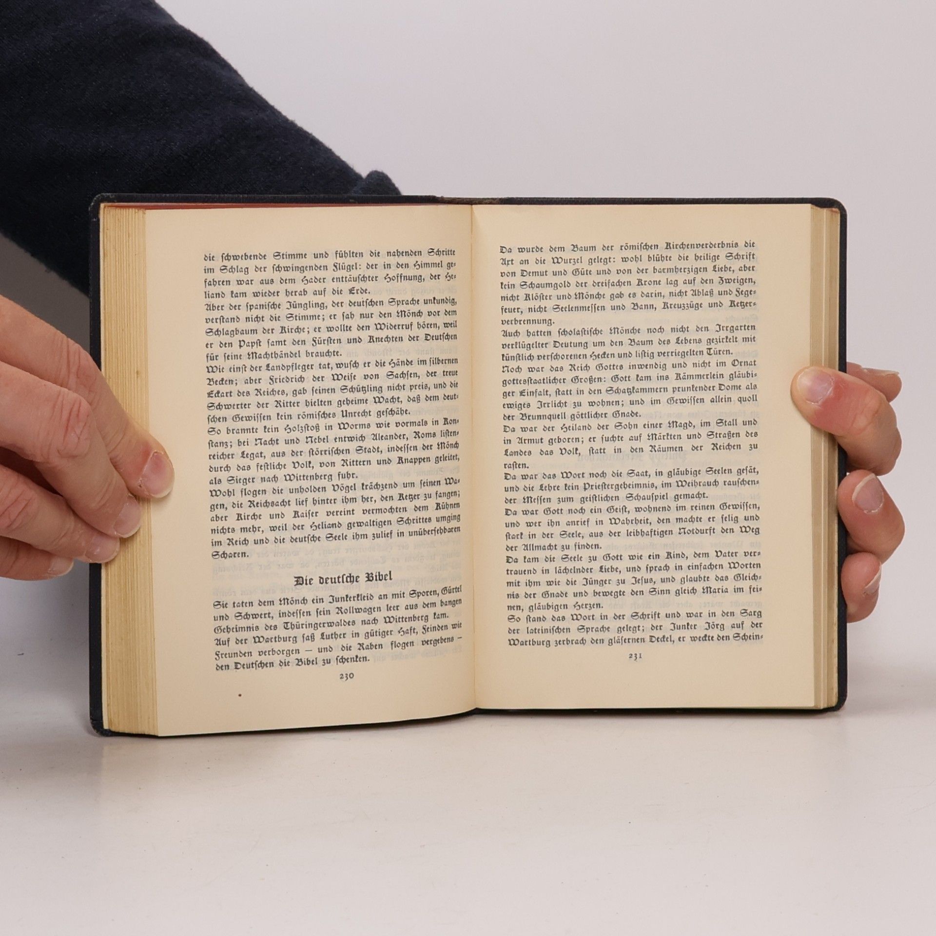 Wilhelm Schäfer Die dreizehn Bücher der deutschen Seele