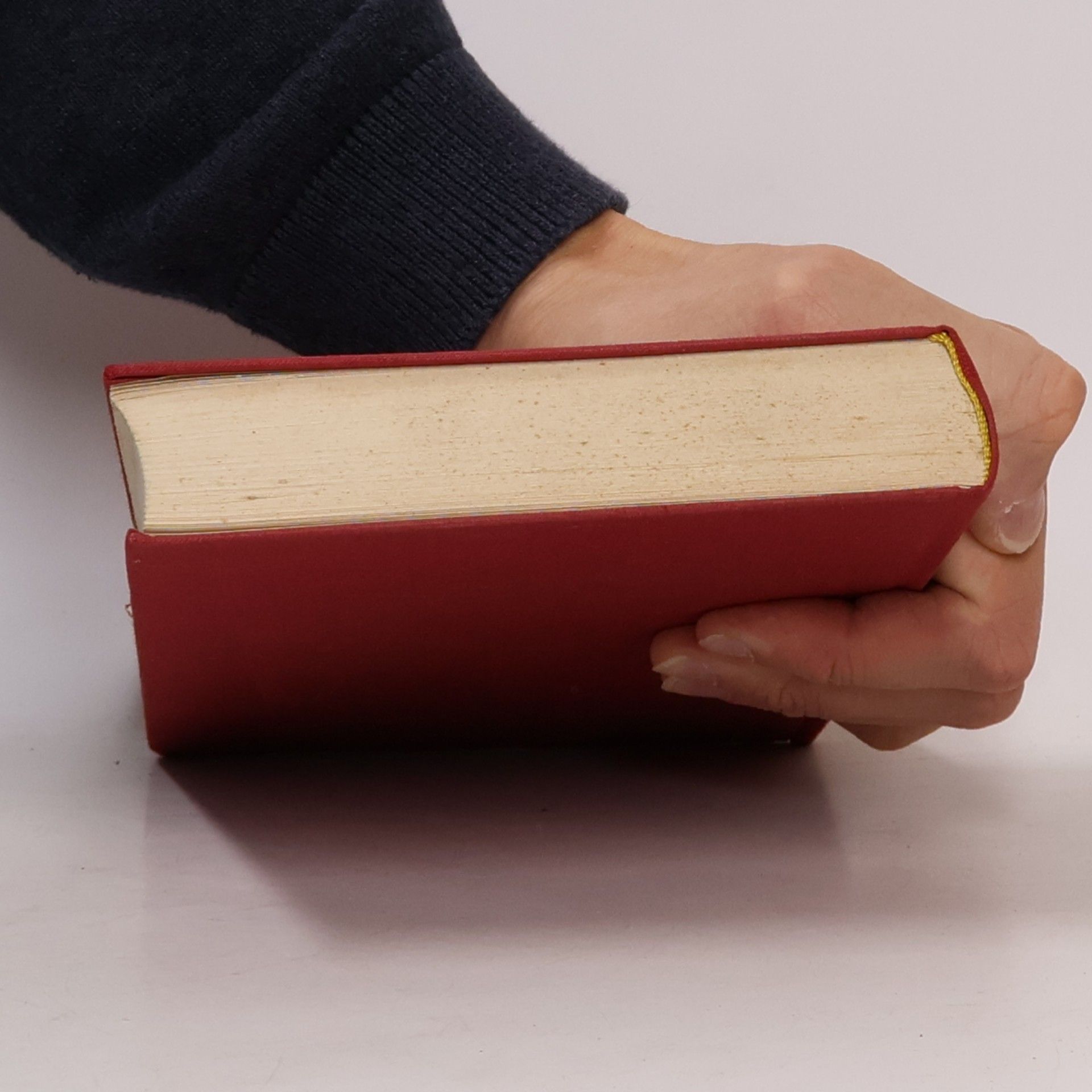 Friedrich Hahn Bibel und moderne Literatur. Große Lebensfragen in Textvergleichen