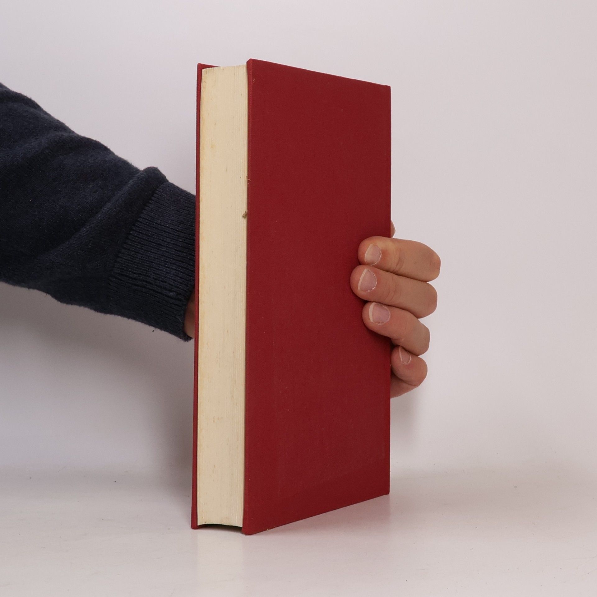 Friedrich Hahn Bibel und moderne Literatur. Große Lebensfragen in Textvergleichen
