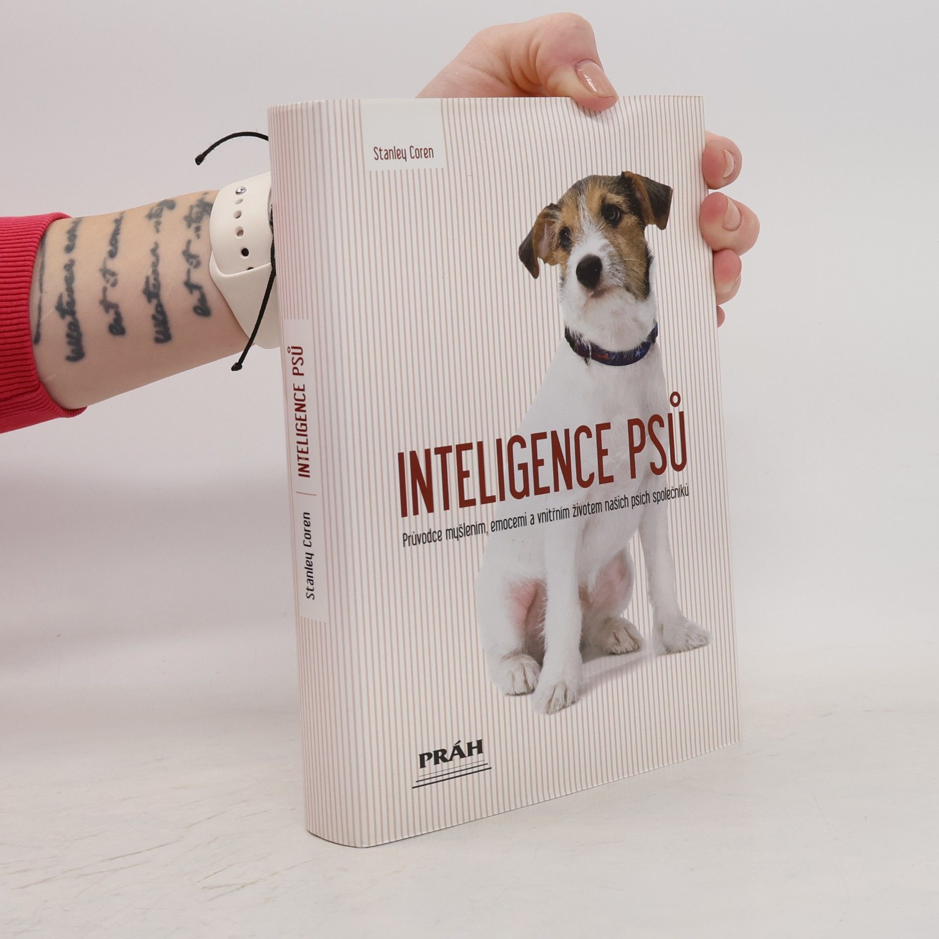 Inteligence psů