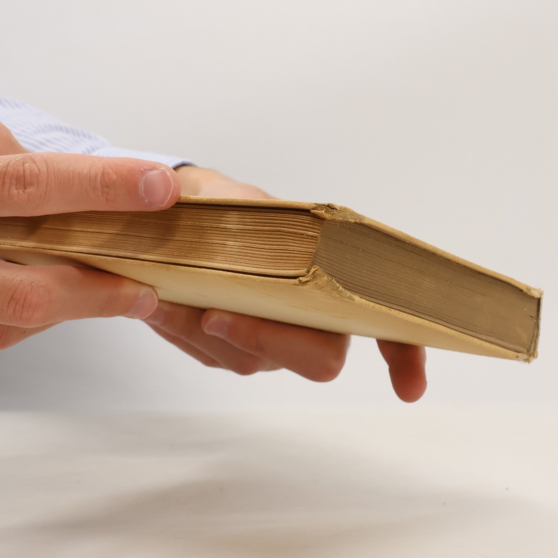 kolektiv Geist und Herz Verbündet. Briefe Metternich Lieven