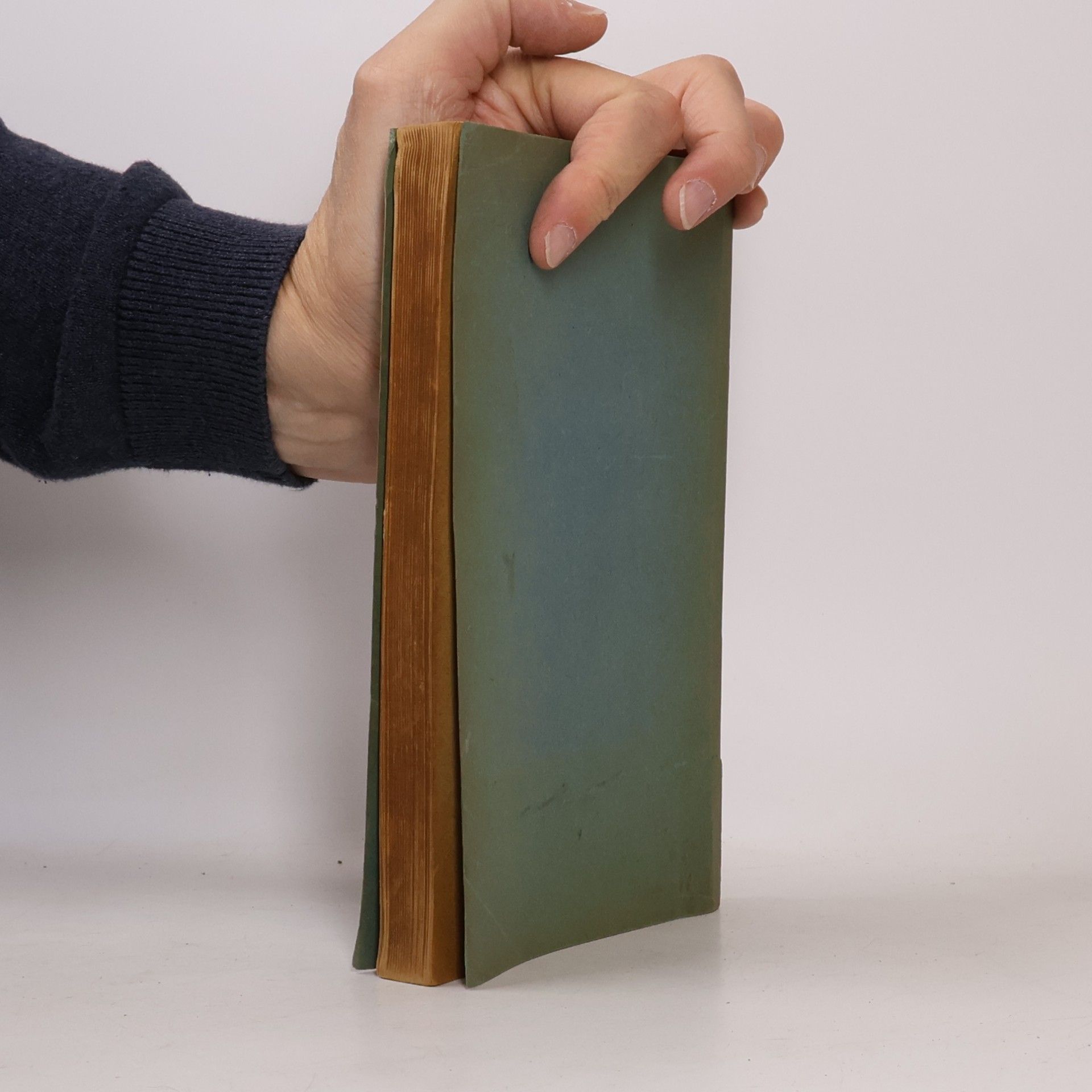 Hans Planitz Neue Rechtsbücher. Germanische Rechtsgeschichte