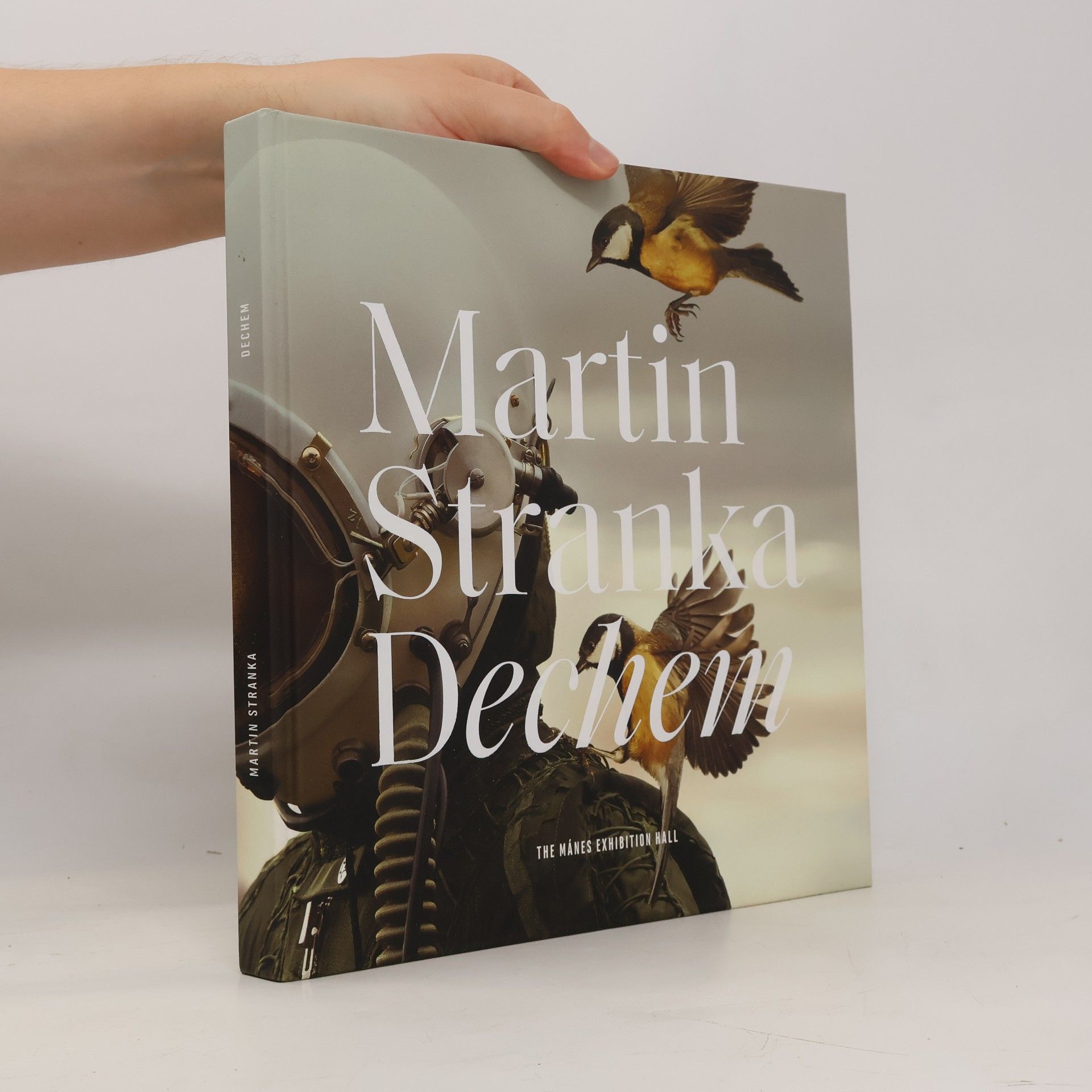 Martin Straka Dechem
