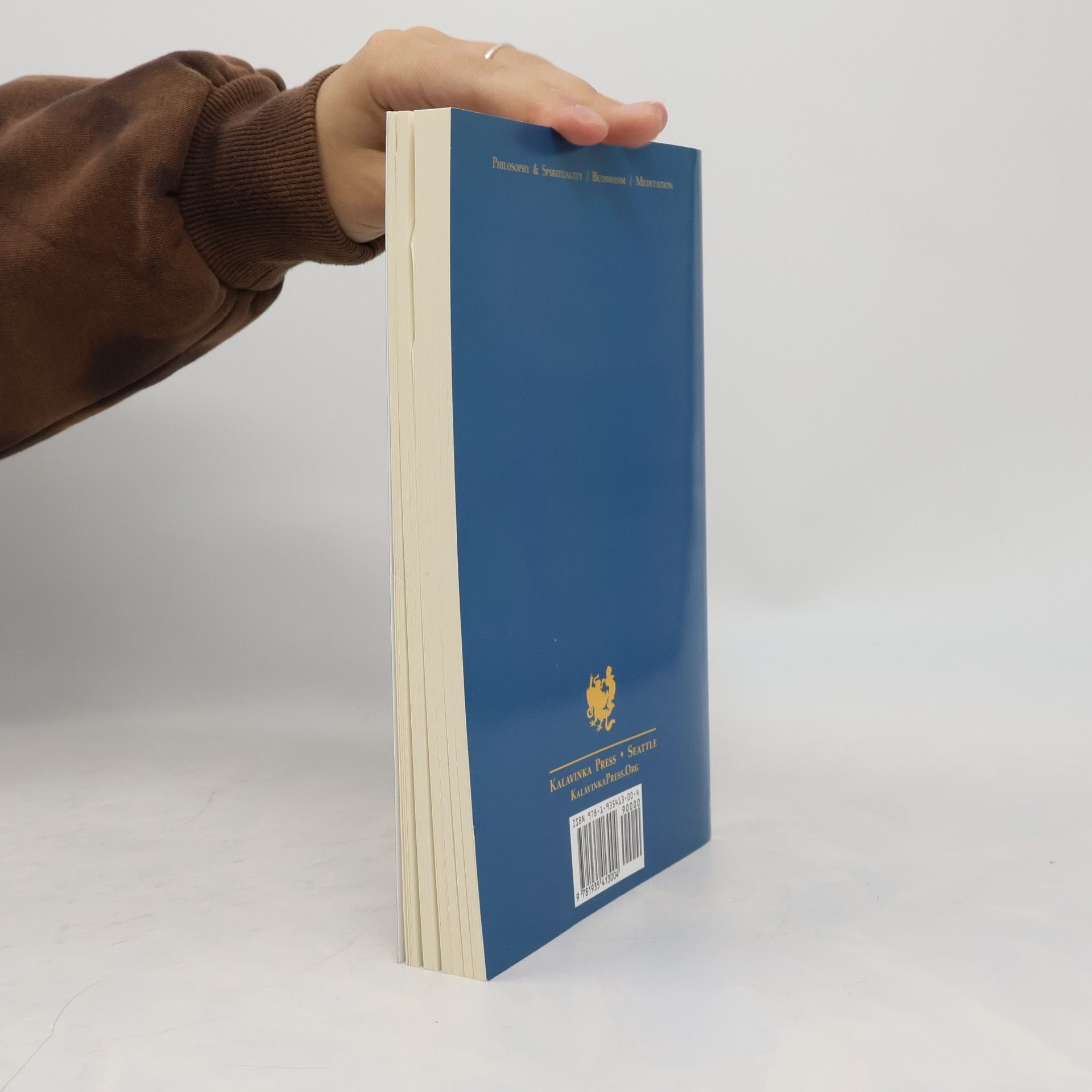 Zhiyi The essentials of buddhist meditation : a classic Śamathā-Vipaśyanā medication manual : the essentials for practicing calming-and-insight and Dhyana meditation