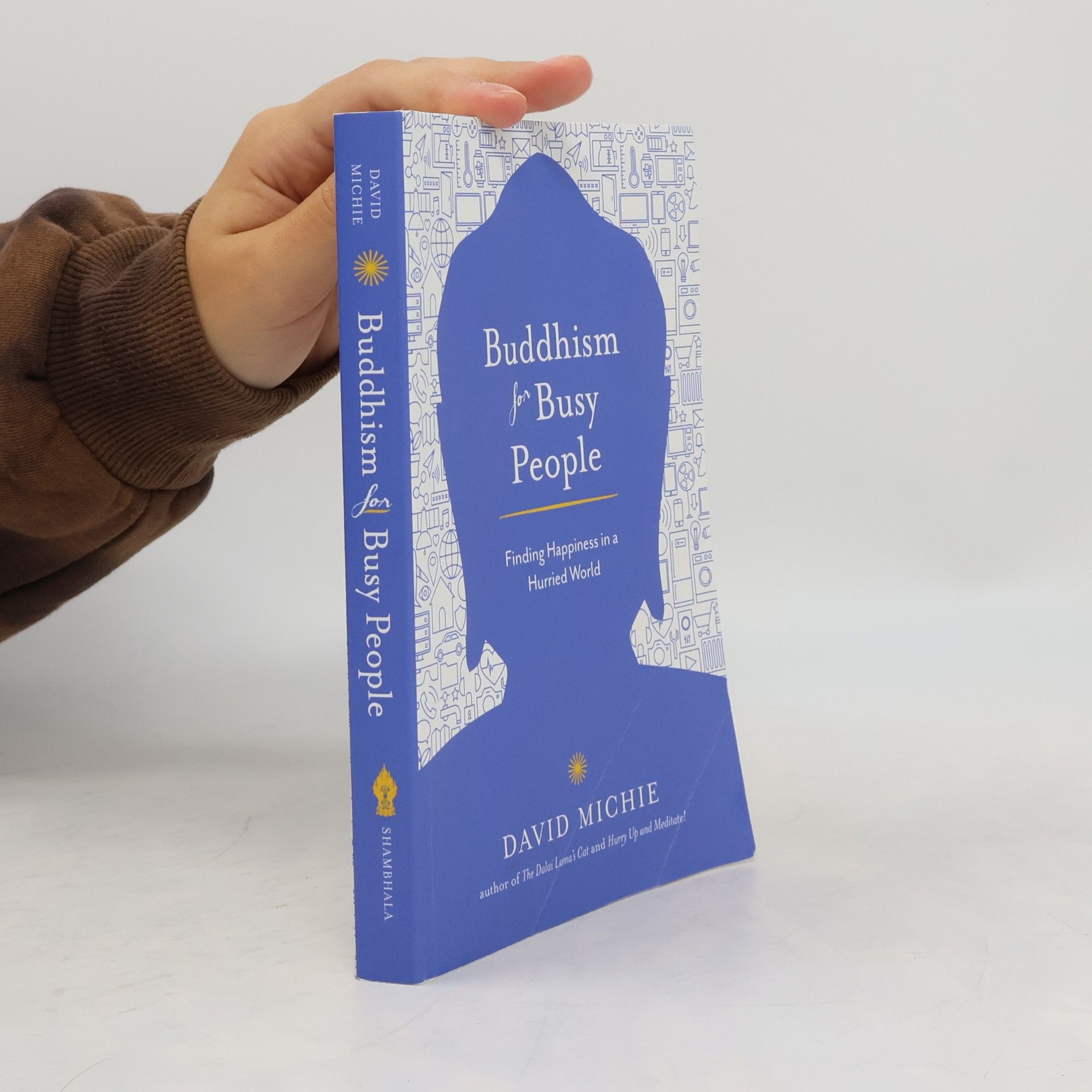 David Michie Buddhism for Busy People