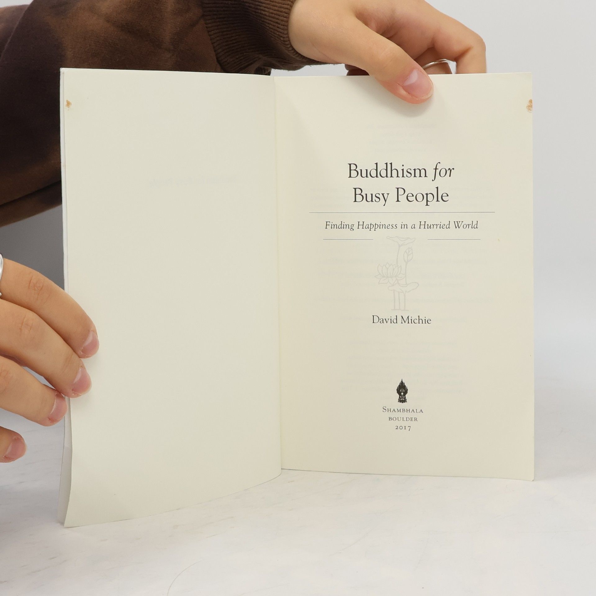 David Michie Buddhism for Busy People