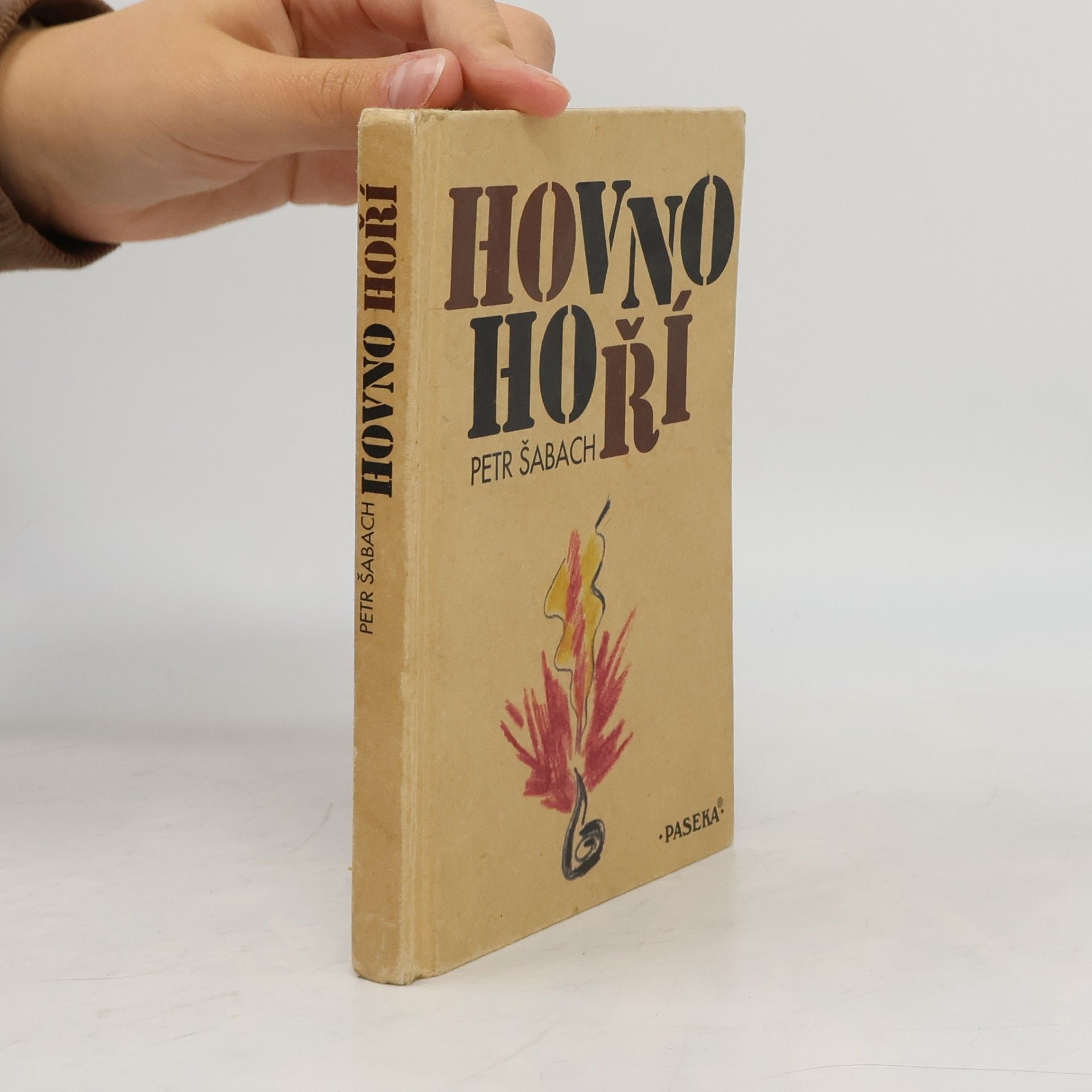 Petr Šabach Hovno hoří