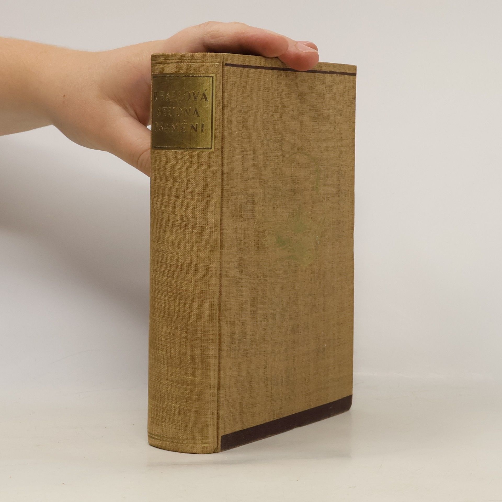 Radclyffe Hall Studna osamění