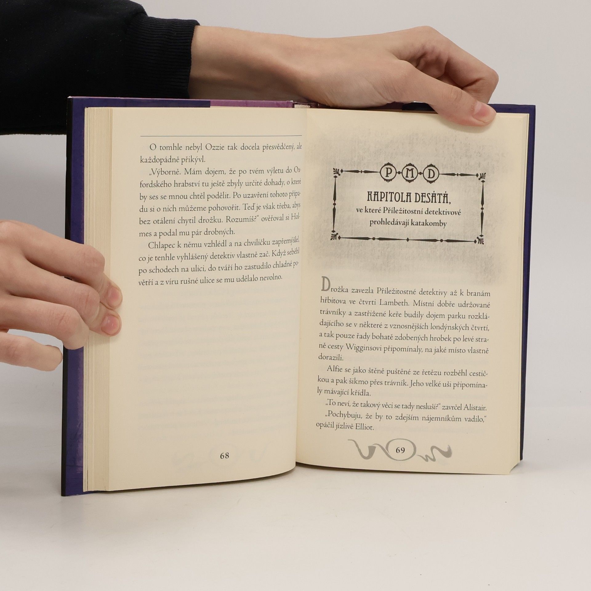 Tracy Mack Sherlock Holmes a příležitostní malí detektivové z Baker Street. Případ třetí. Hledá se Watson