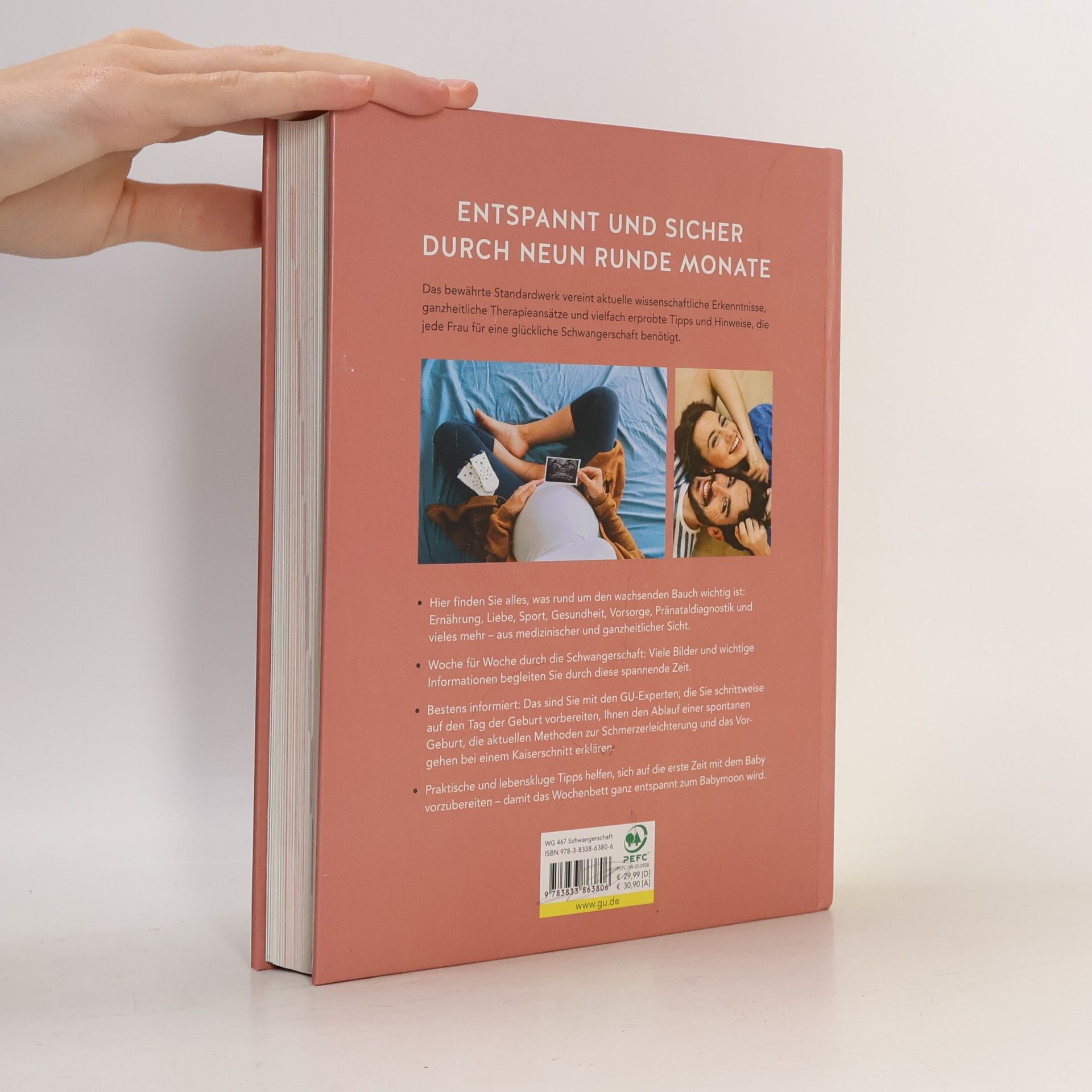 Franz Kain Das große Buch zur Schwangerschaft
