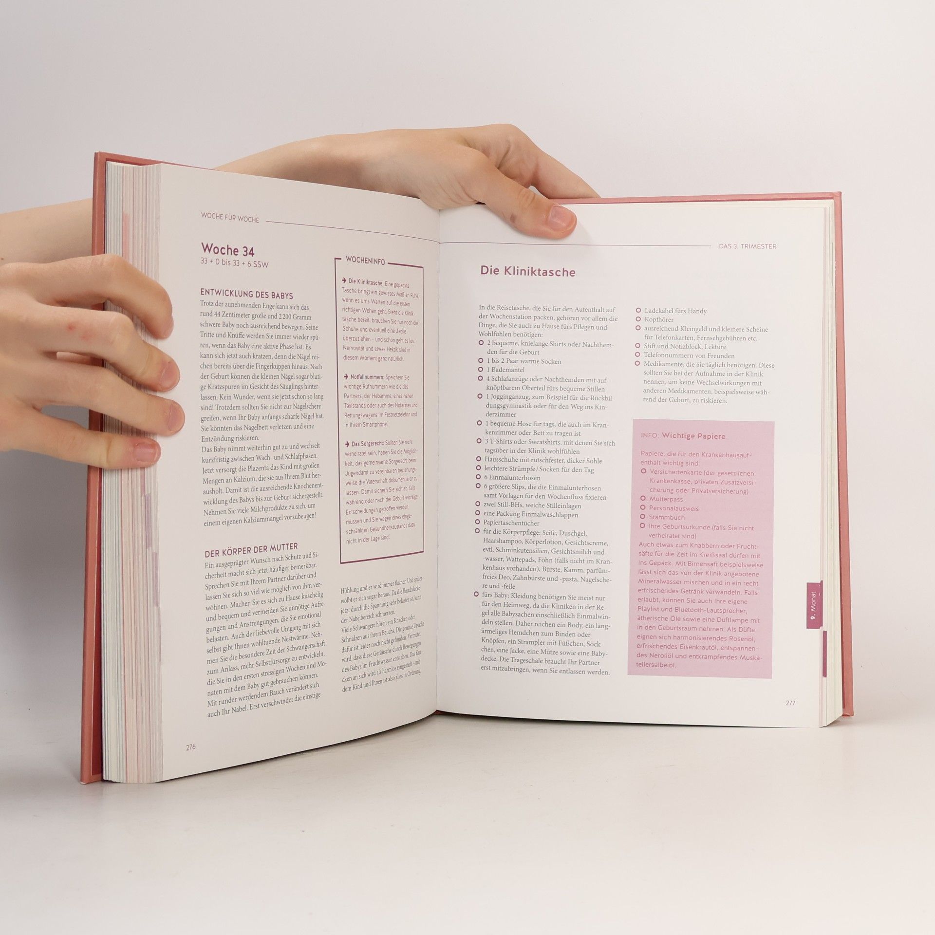 Franz Kain Das große Buch zur Schwangerschaft